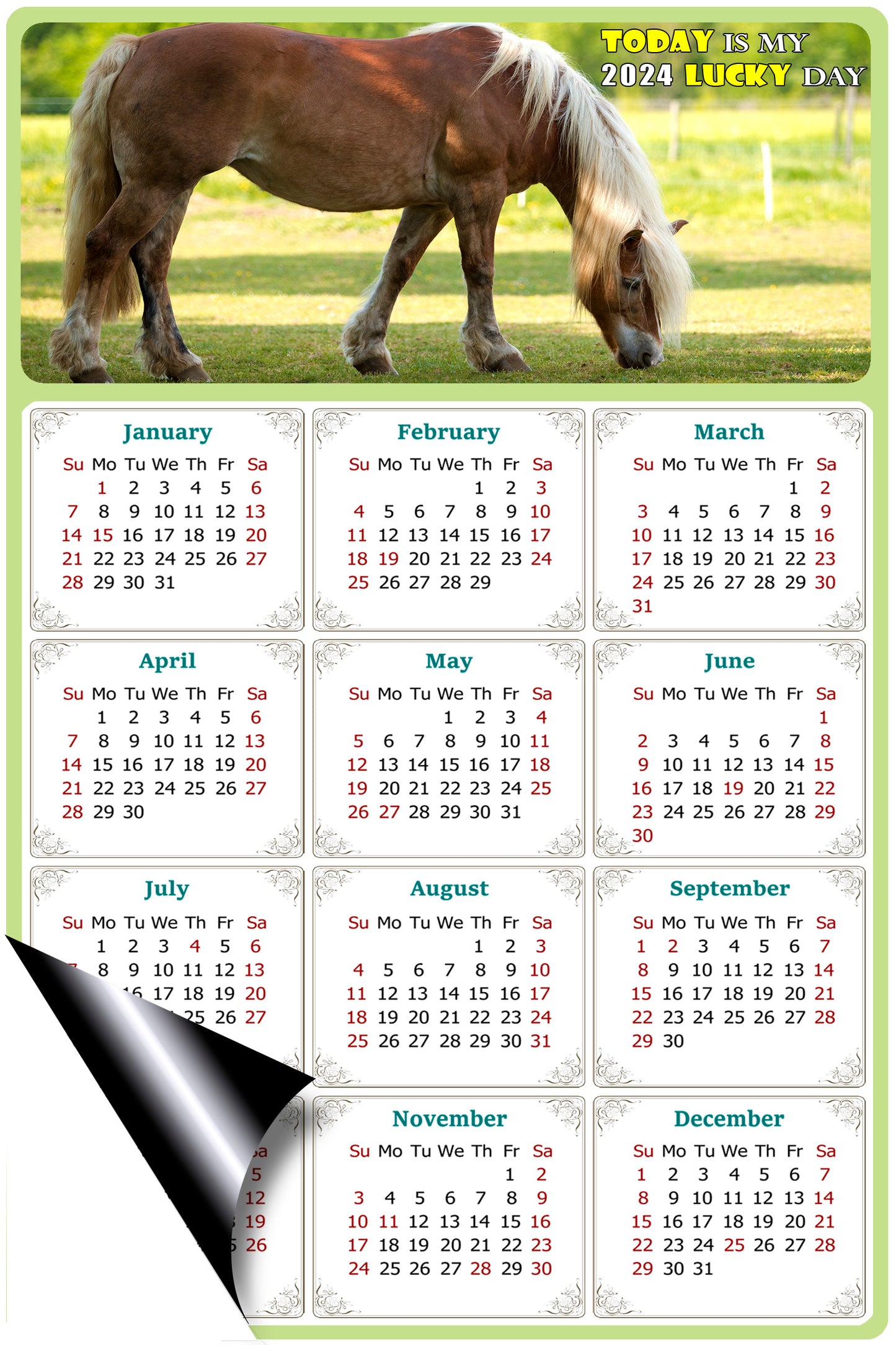 2024 Magnetic Calendar - Calendar Magnets - Today is my Lucky Day - (Fade, Tear, and Water Resistant) - Horses Themed 016