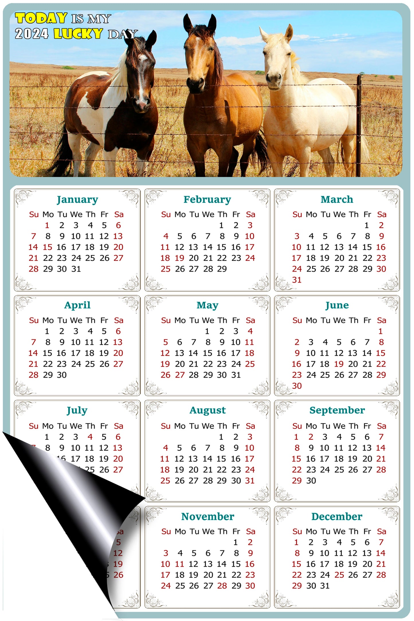 2024 Magnetic Calendar - Calendar Magnets - Today is my Lucky Day - (Fade, Tear, and Water Resistant) - Horses Themed 07