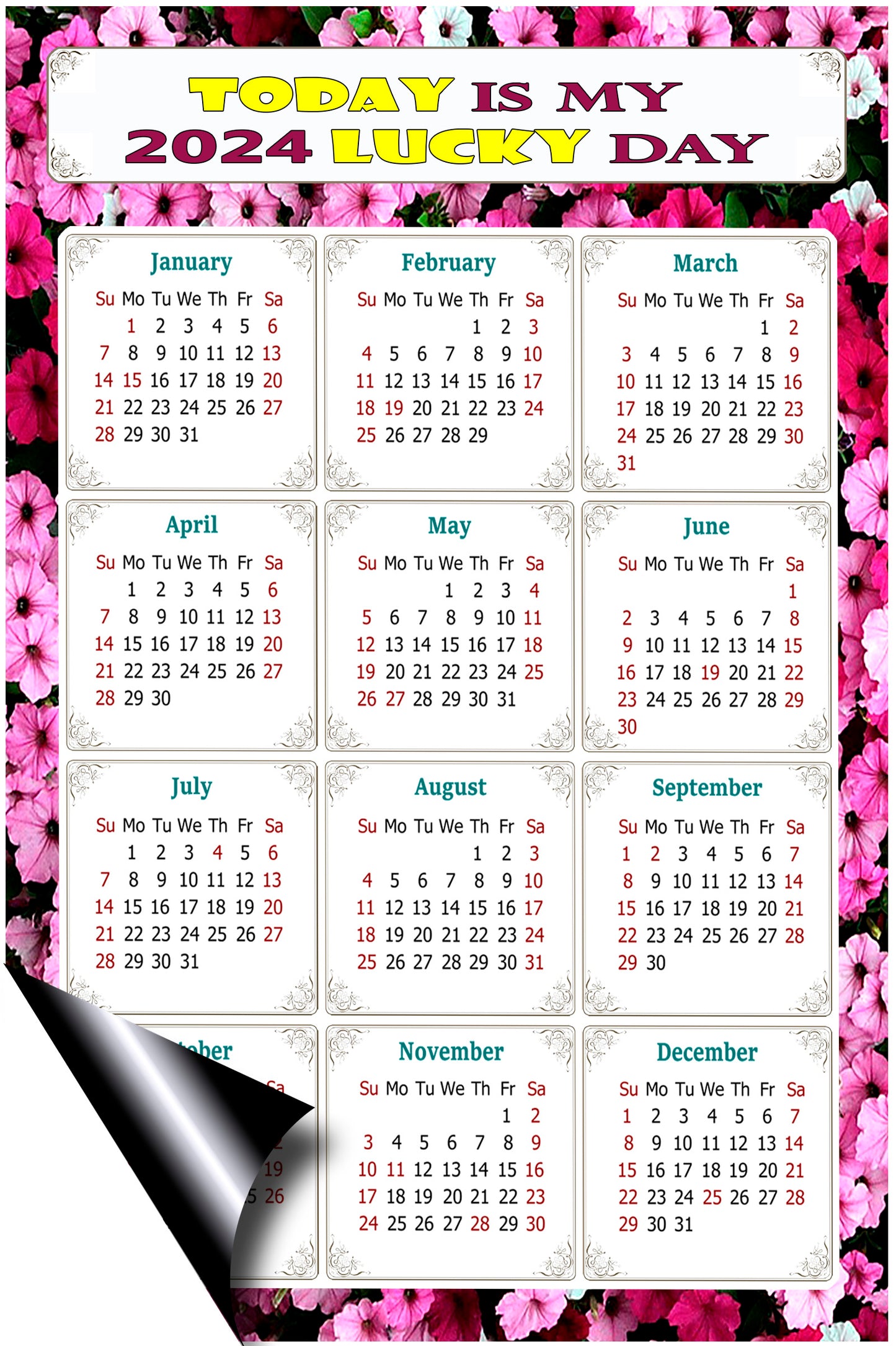 2024 Magnetic Calendar - Calendar Magnets - Today is my Lucky Day - (Fade, Tear, and Water Resistant) - Themed 027