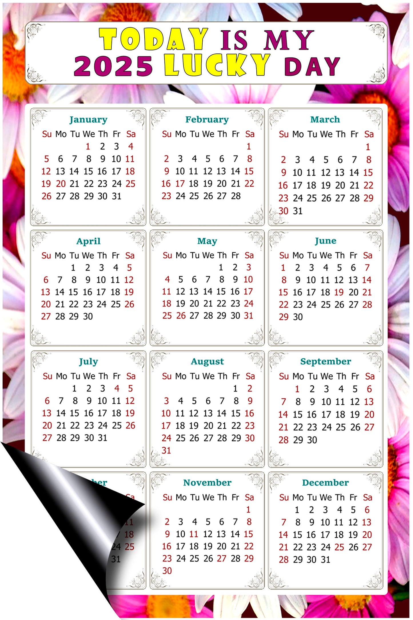 2025 Peel & Stick Calendar - Today is my Lucky Day Removable - 032