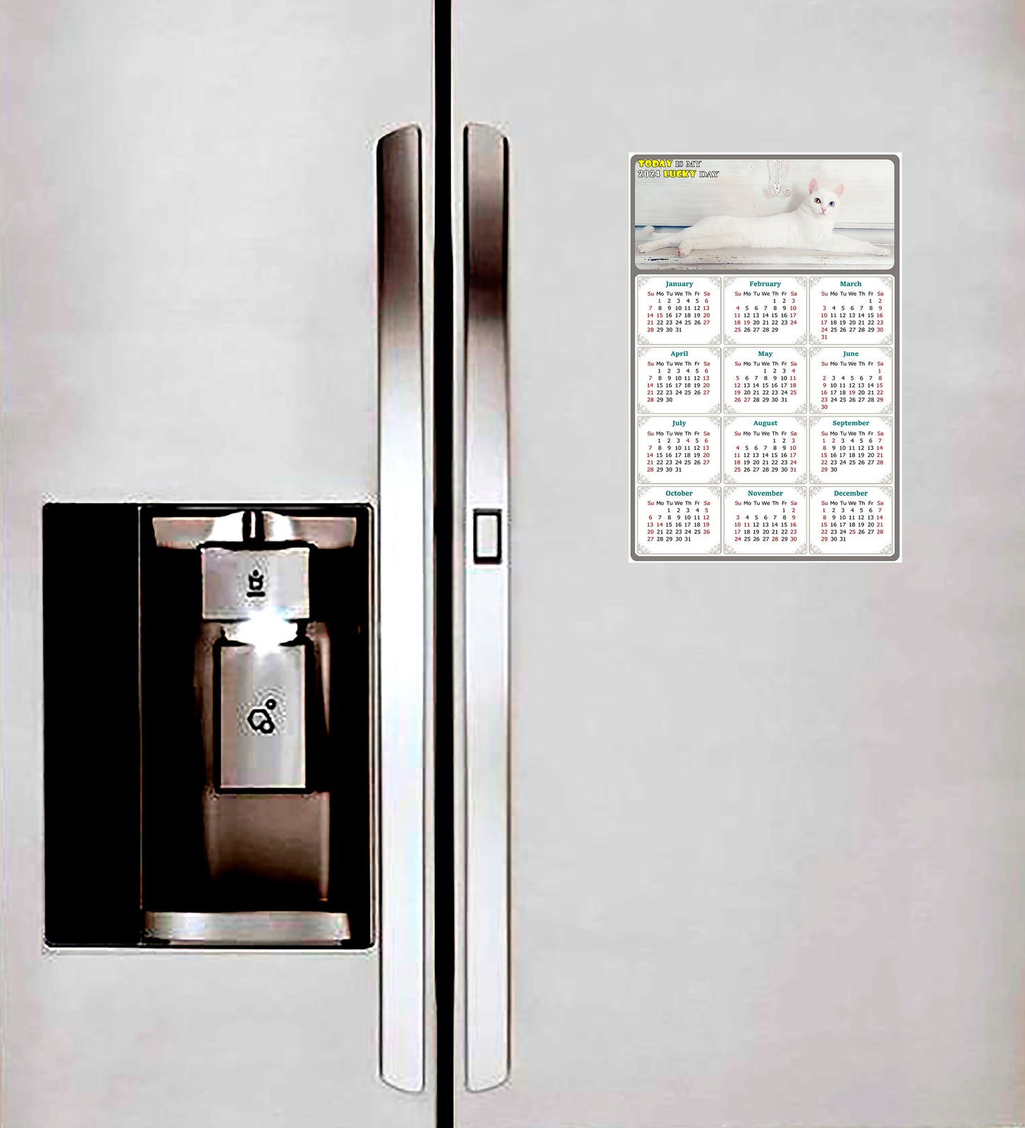2024 Magnetic Calendar - Today is My Lucky Day (Fade, Tear, and Water Resistant)- Cat Themed 06