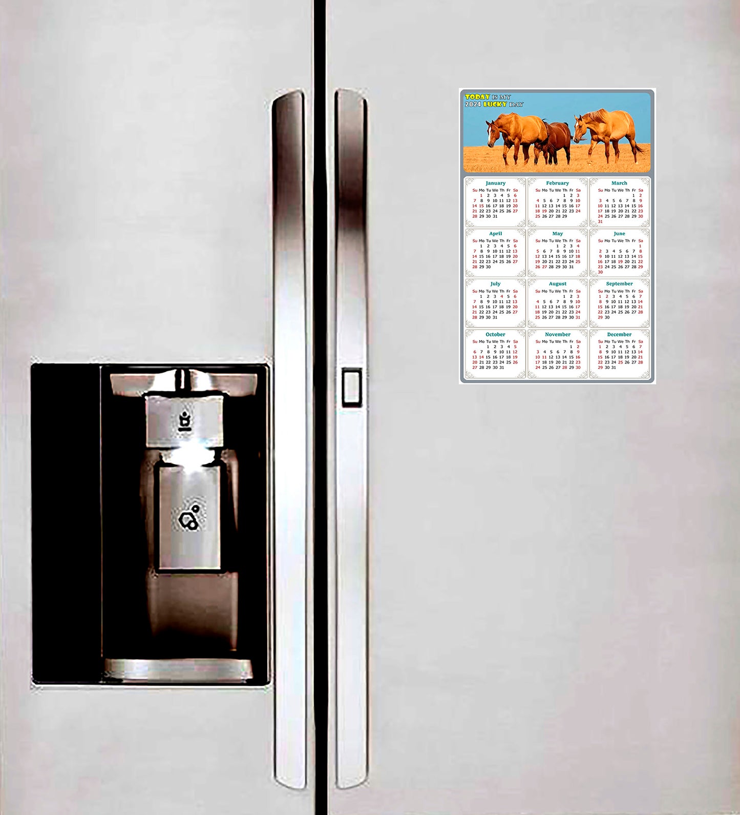 2024 Magnetic Calendar - Calendar Magnets - Today is my Lucky Day - (Fade, Tear, and Water Resistant) - Horses Themed 017