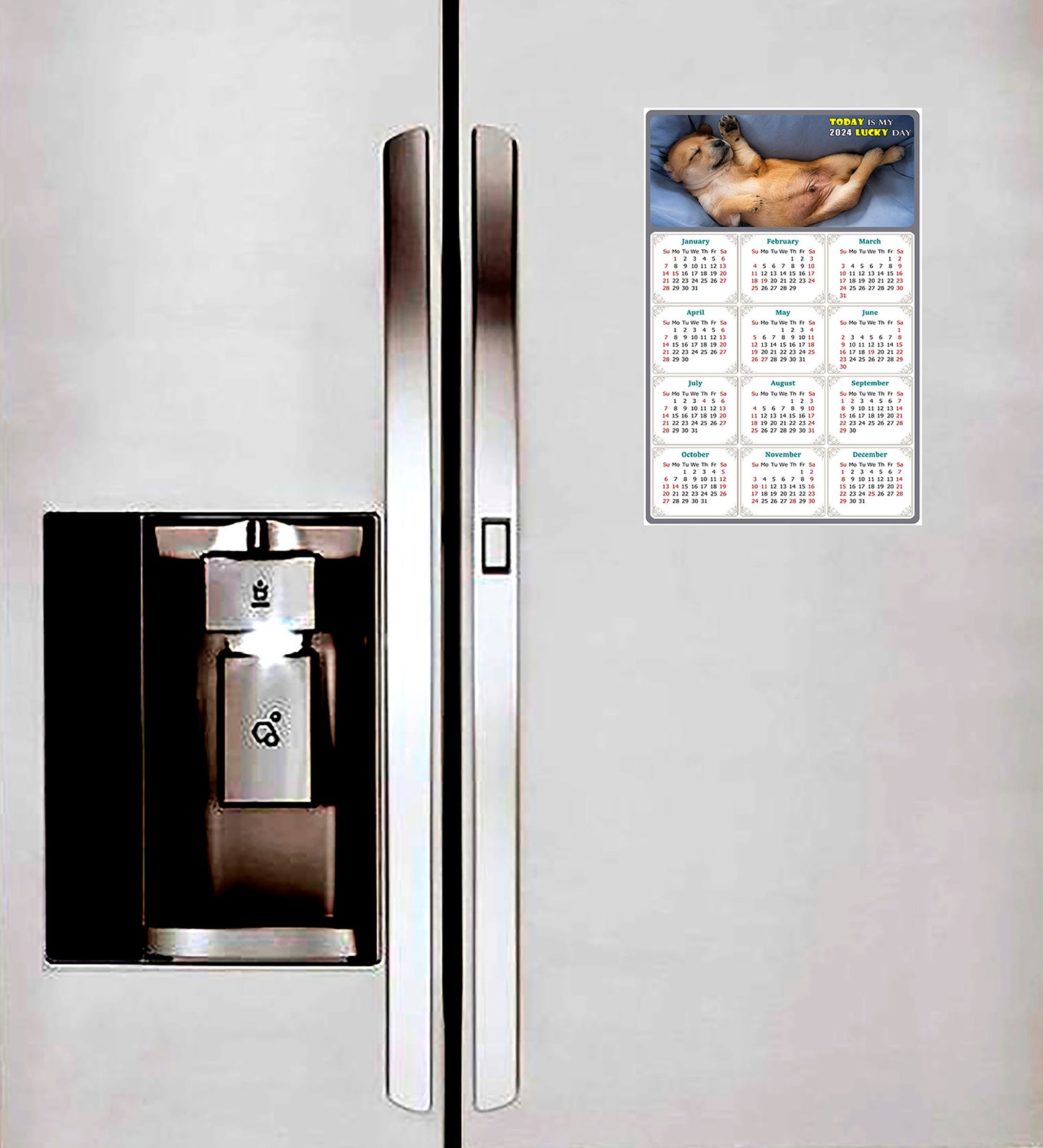2024 Magnetic Calendar - Today is My Lucky Day (Fade, Tear, and Water Resistant)- Dogs Themed 013
