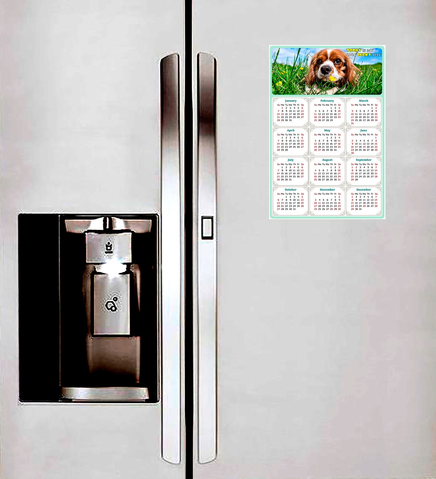 2024 Magnetic Calendar - Today is My Lucky Day (Fade, Tear, and Water Resistant)- Dogs Themed 06