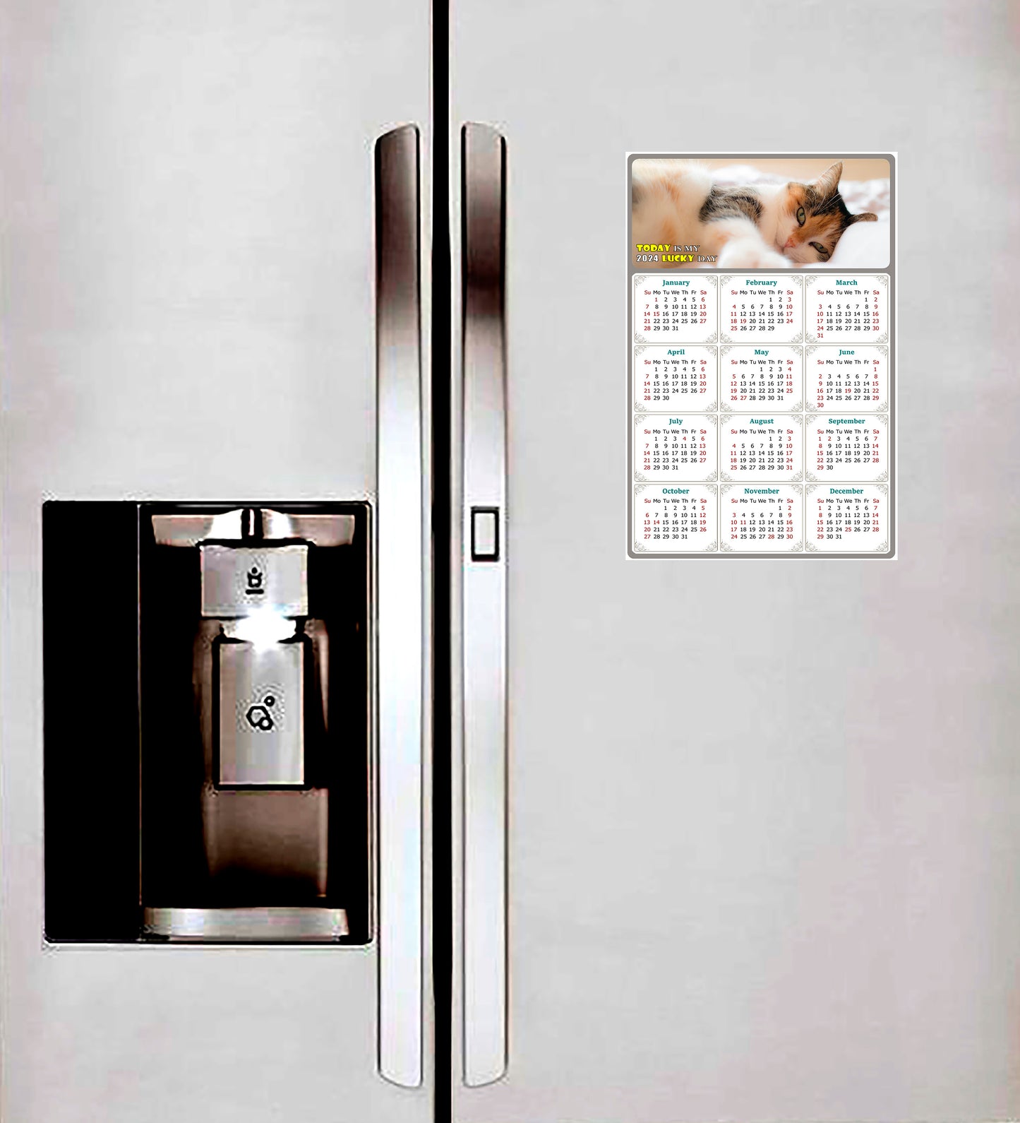 2024 Magnetic Calendar - Today is My Lucky Day (Fade, Tear, and Water Resistant)- Cat Themed 04