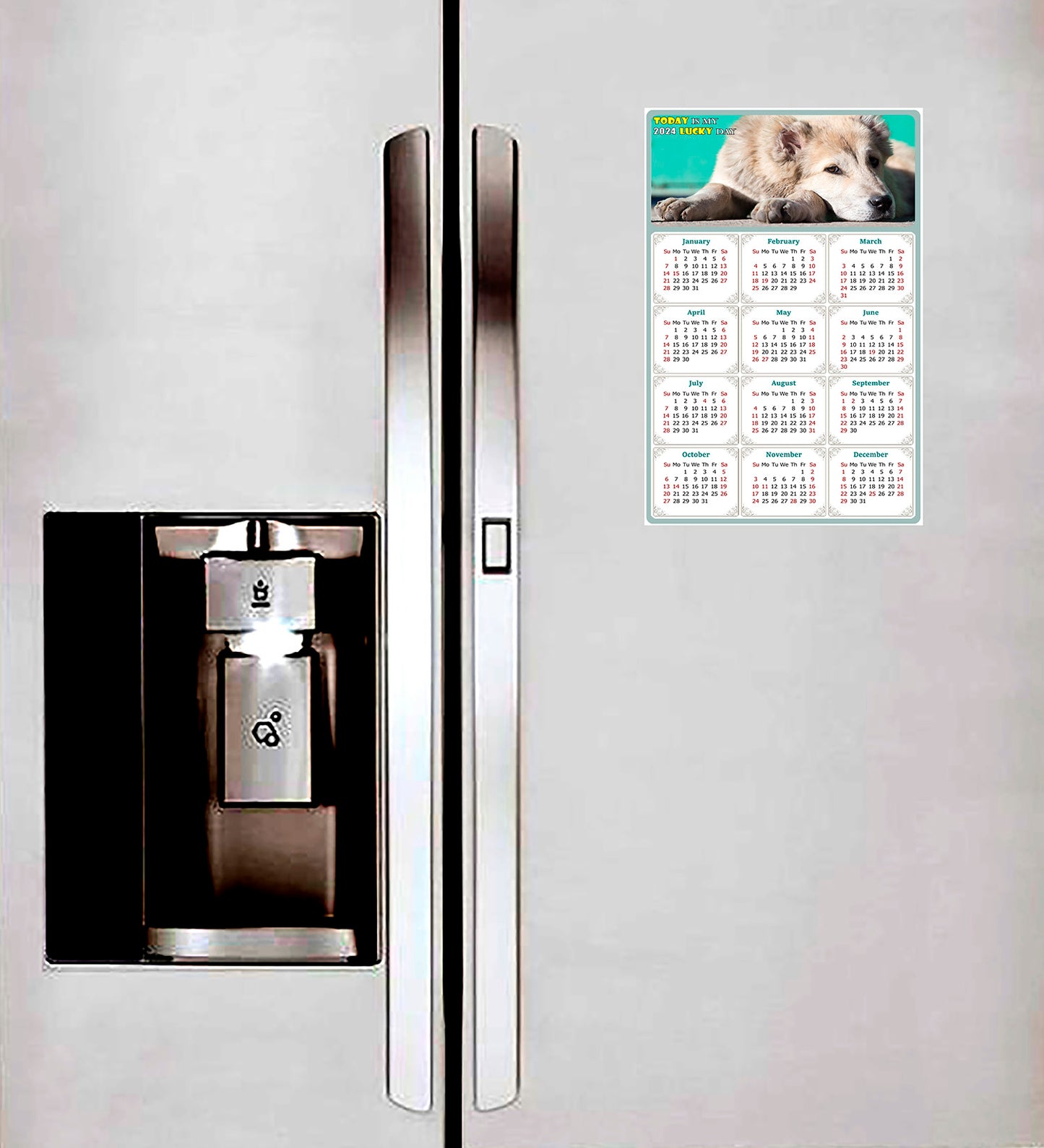2024 Magnetic Calendar - Today is My Lucky Day (Fade, Tear, and Water Resistant)- Dogs Themed 015