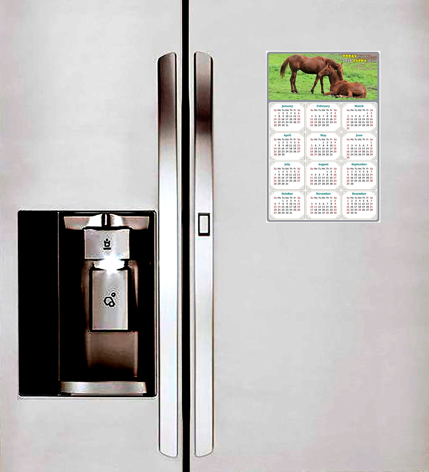 2024 Magnetic Calendar - Calendar Magnets - Today is my Lucky Day - (Fade, Tear, and Water Resistant) - Horses Themed 019