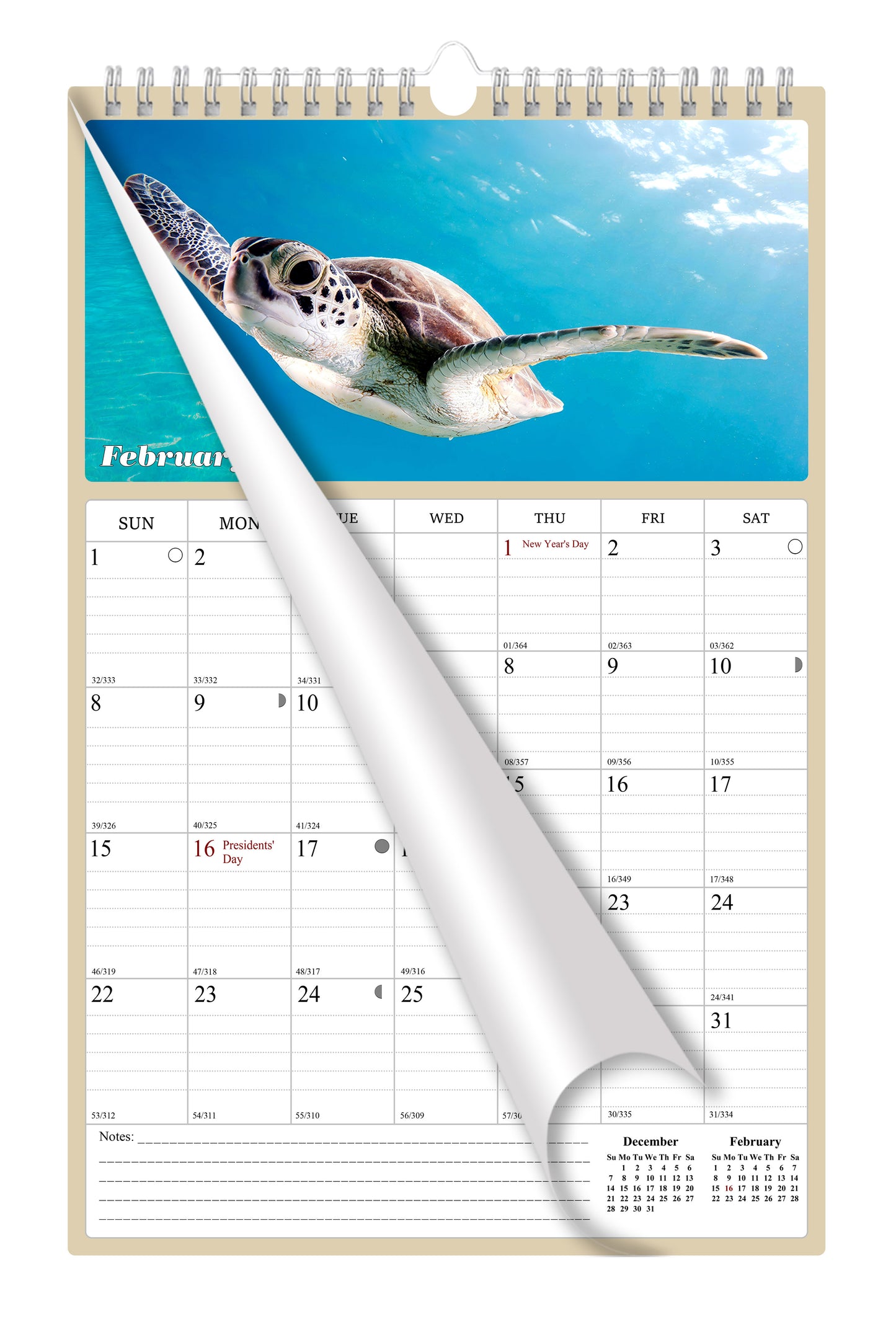 2026 Wall Calendar Spiral-bound Twin-Wire Binding - 12 Months Planner - Large Ruled Blocks with Julian Dates - (Turtles)