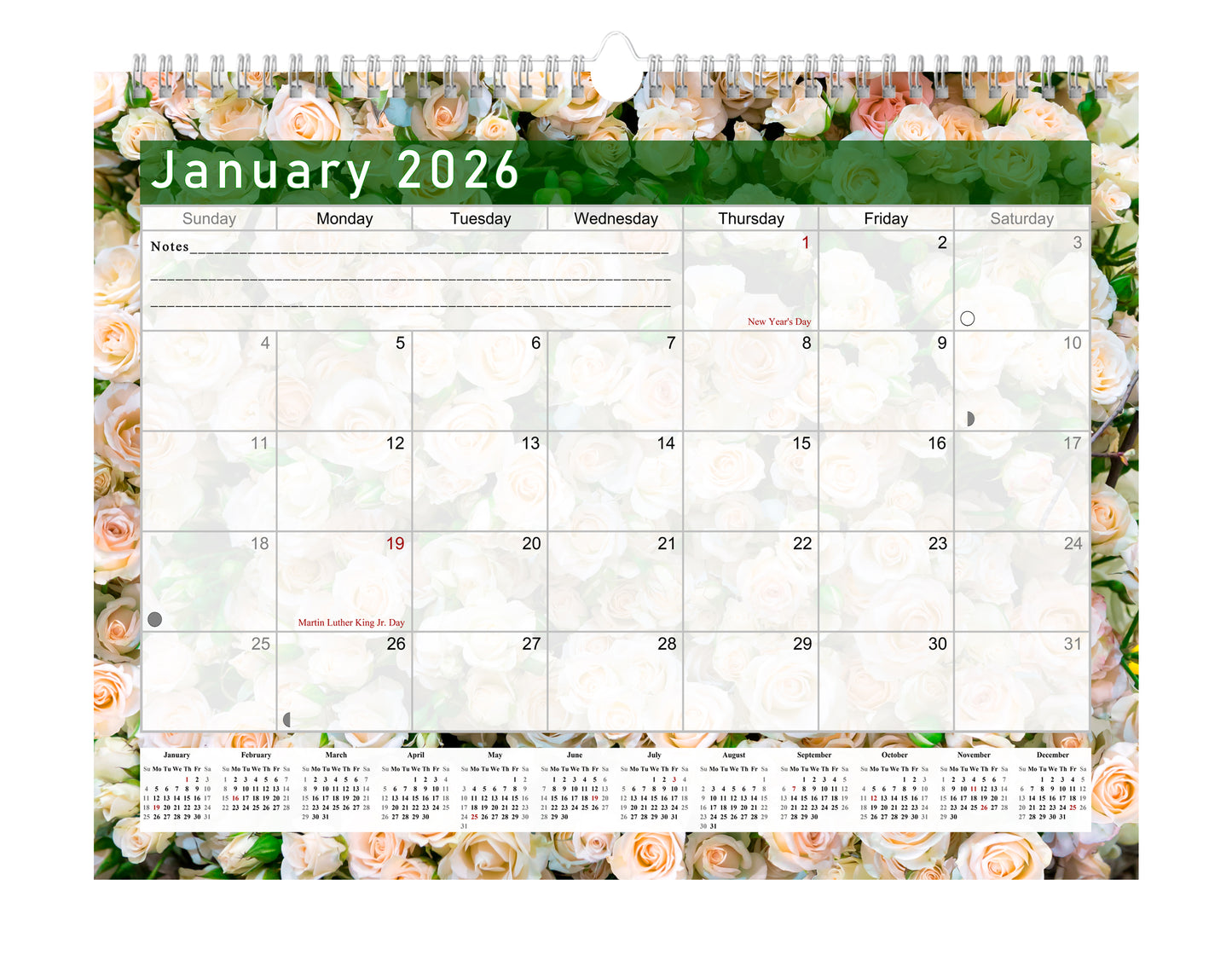2025-2026 Monthly Spiral-Bound Wall / Desk Calendar - Desktop / Wall Blotter Calendar / Planner - (Edition #23)