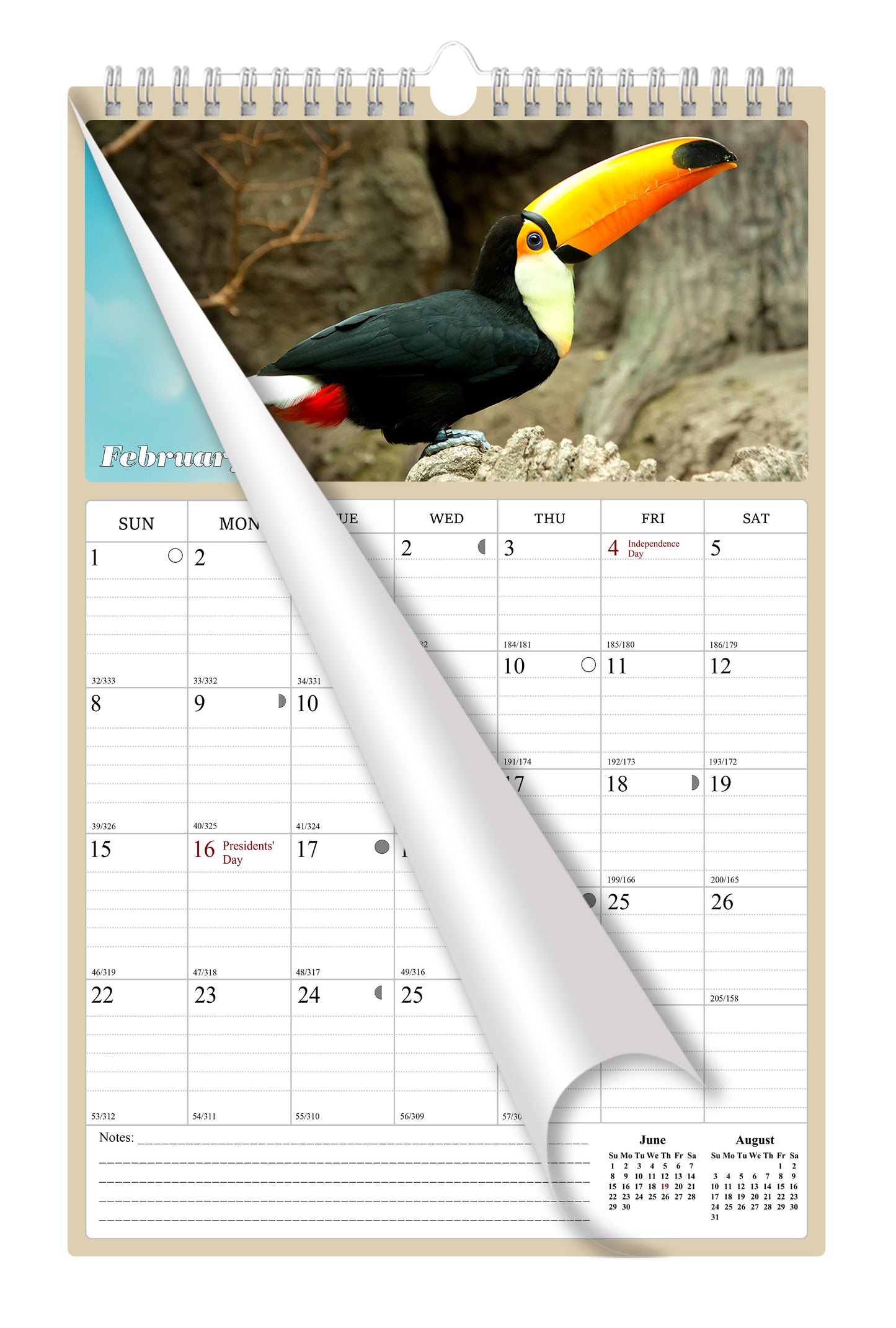2025 - 2026 Wall Calendar Spiral-bound Twin-Wire Binding - 18 Months Planner - Large Ruled Blocks with Julian Dates - (Birds)