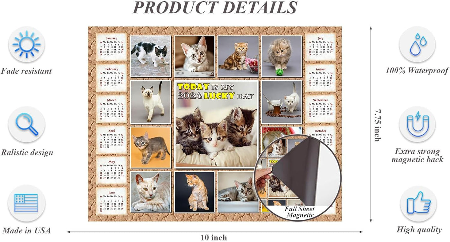 2024 Magnetic Calendar (Kittens) - Calendar Photo Collage Magnets - Today is my Lucky Day - (Fade, Tear, and Water Resistant)