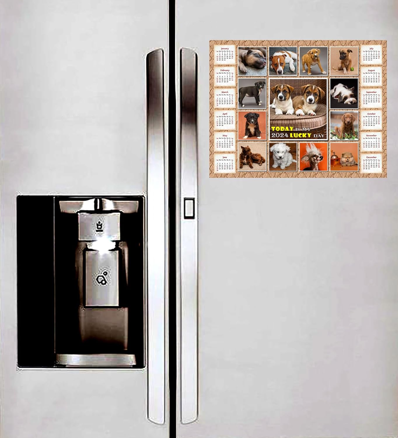 2024 Magnetic Calendar (Dogs) - Calendar Photo Collage Magnets - Today is my Lucky Day - (Fade, Tear, and Water Resistant)