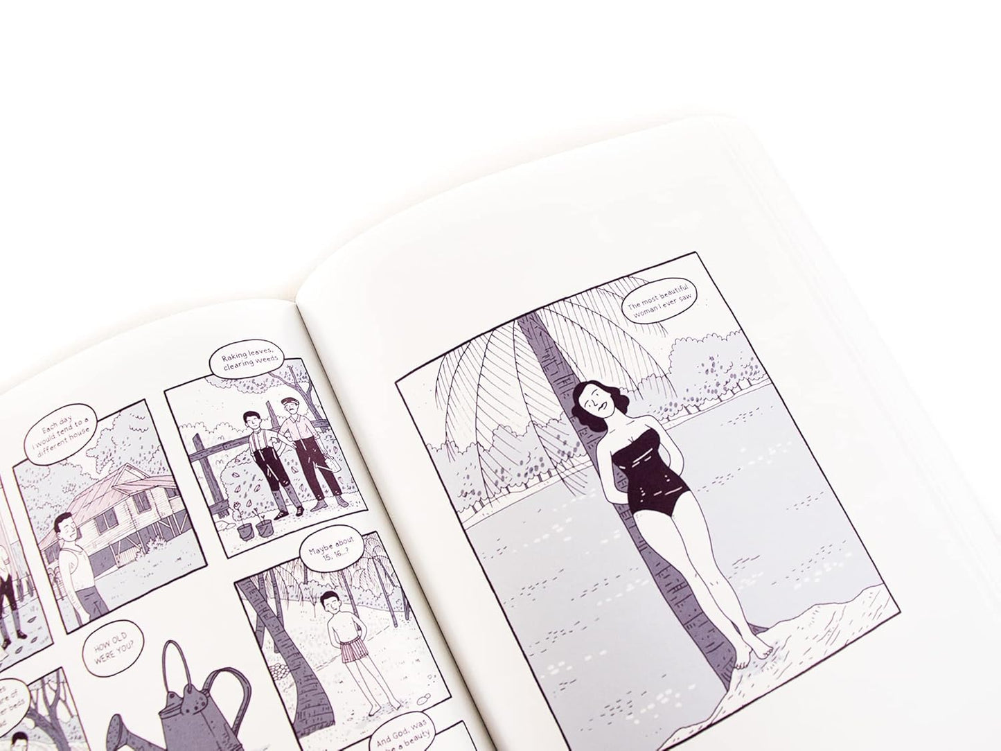 Memories from Limón Paperback Book