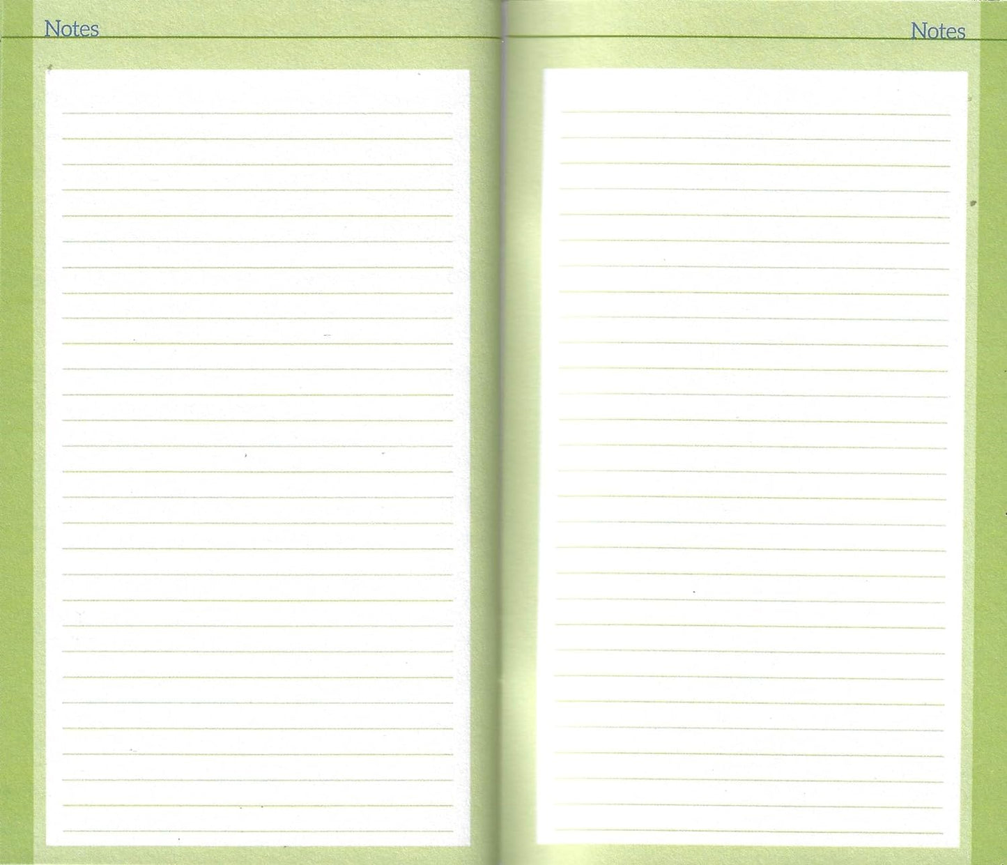 2024-2025 Value Pocket Calendar for Planning, Scheduling, and Organizing (Beaches)