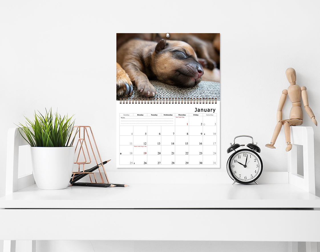 2026 Spiral-bound Wall Calendar (Dogs) - 12 Months Desktop/Wall Calendar/Planner