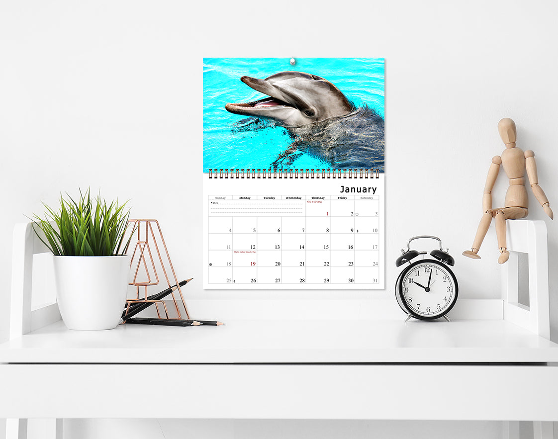 2026 Spiral-bound Wall Calendar (Dolphins) - 12 Months Desktop/Wall Calendar/Planner