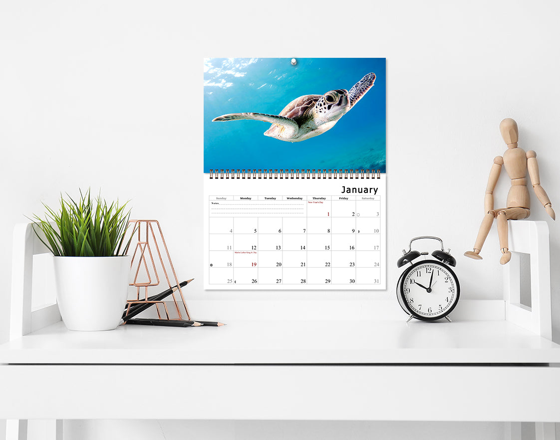 2026 Spiral-bound Wall Calendar (Sea Turtles) - 12 Months Desktop/Wall Calendar/Planner