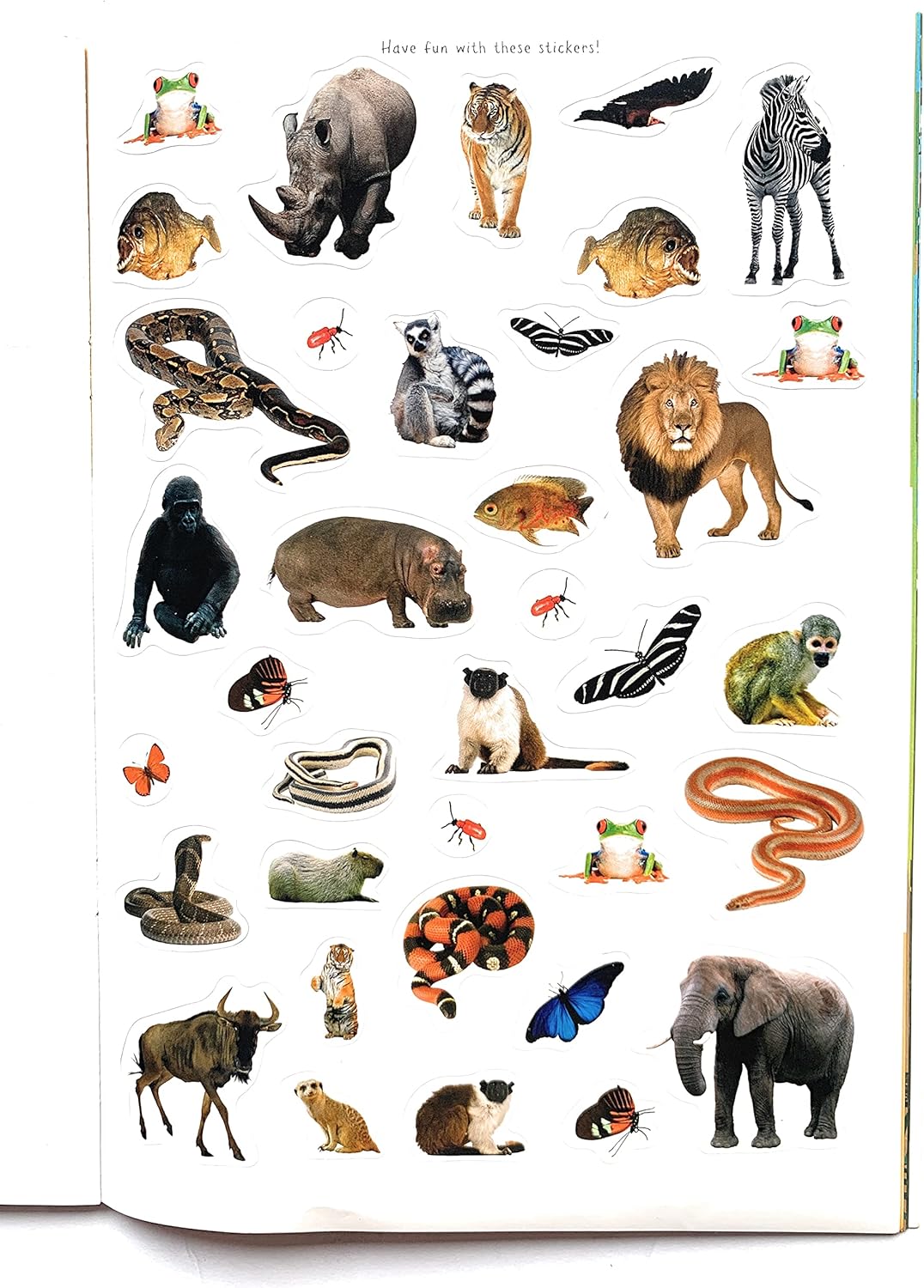 The Wild Sticker Activity Book (with Over 150 Stickers), Red, Blue, Green