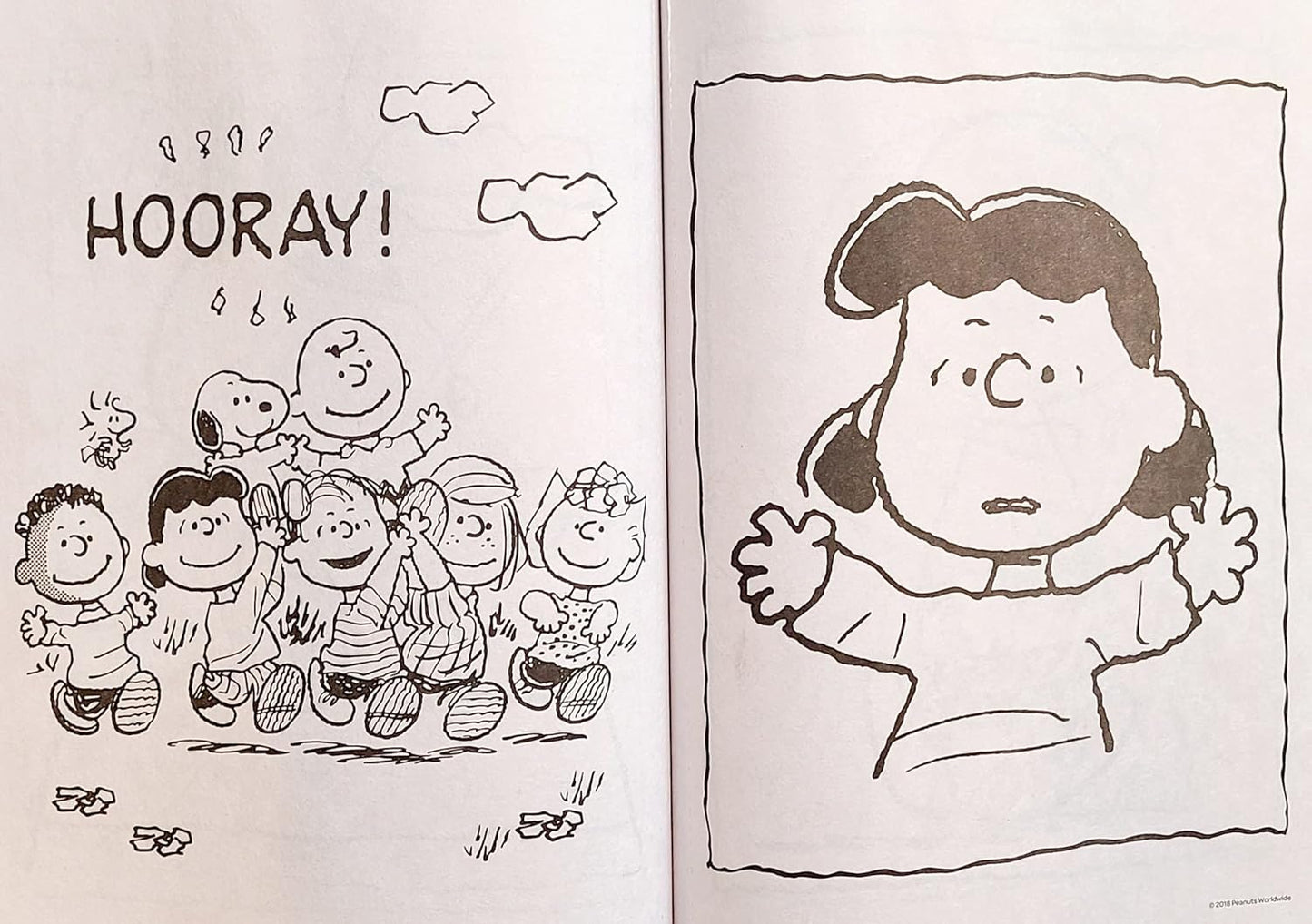 Peanuts Super Book to Color