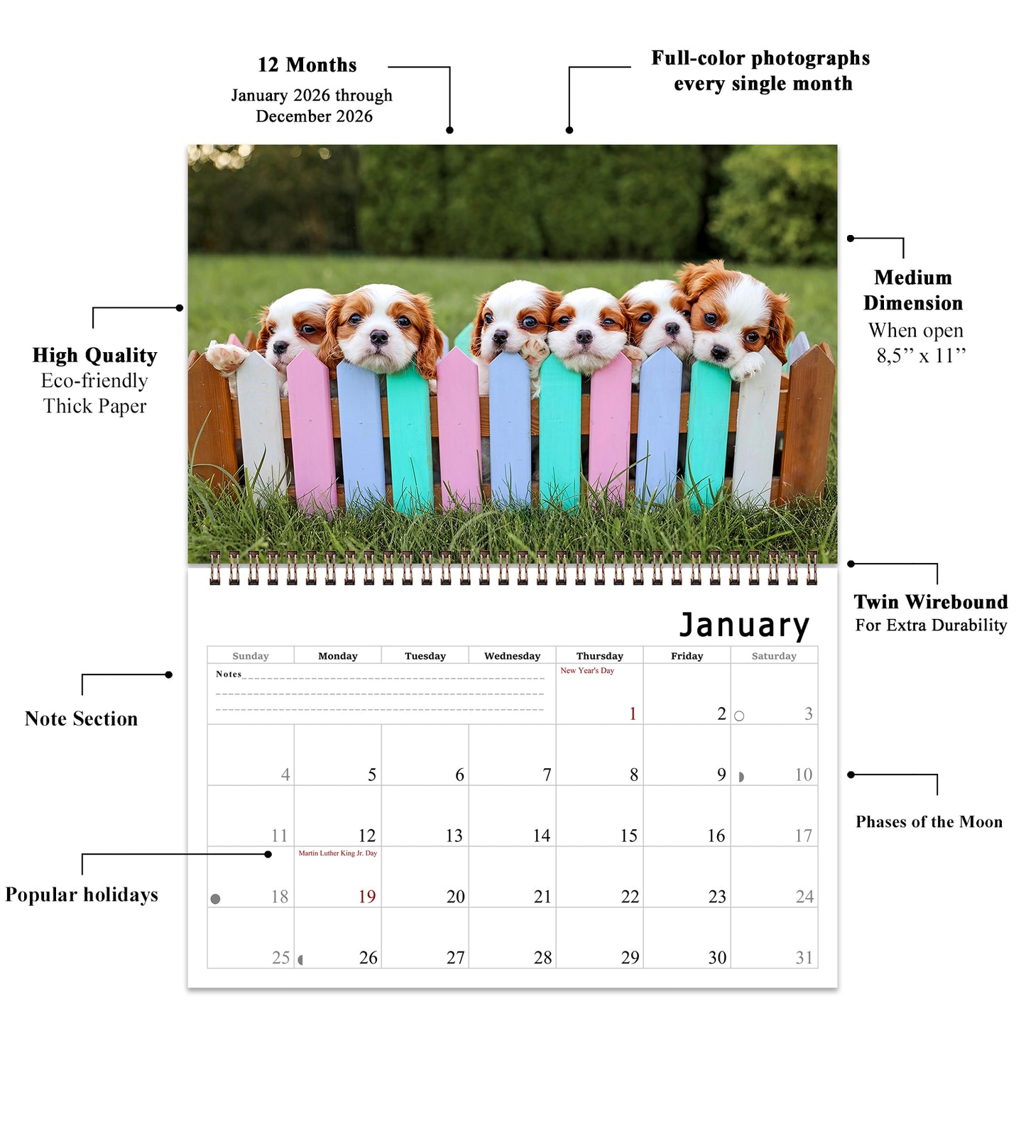 2026 Spiral-bound Wall Calendar (Puppies) - 12 Months Desktop/Wall Calendar/Planner