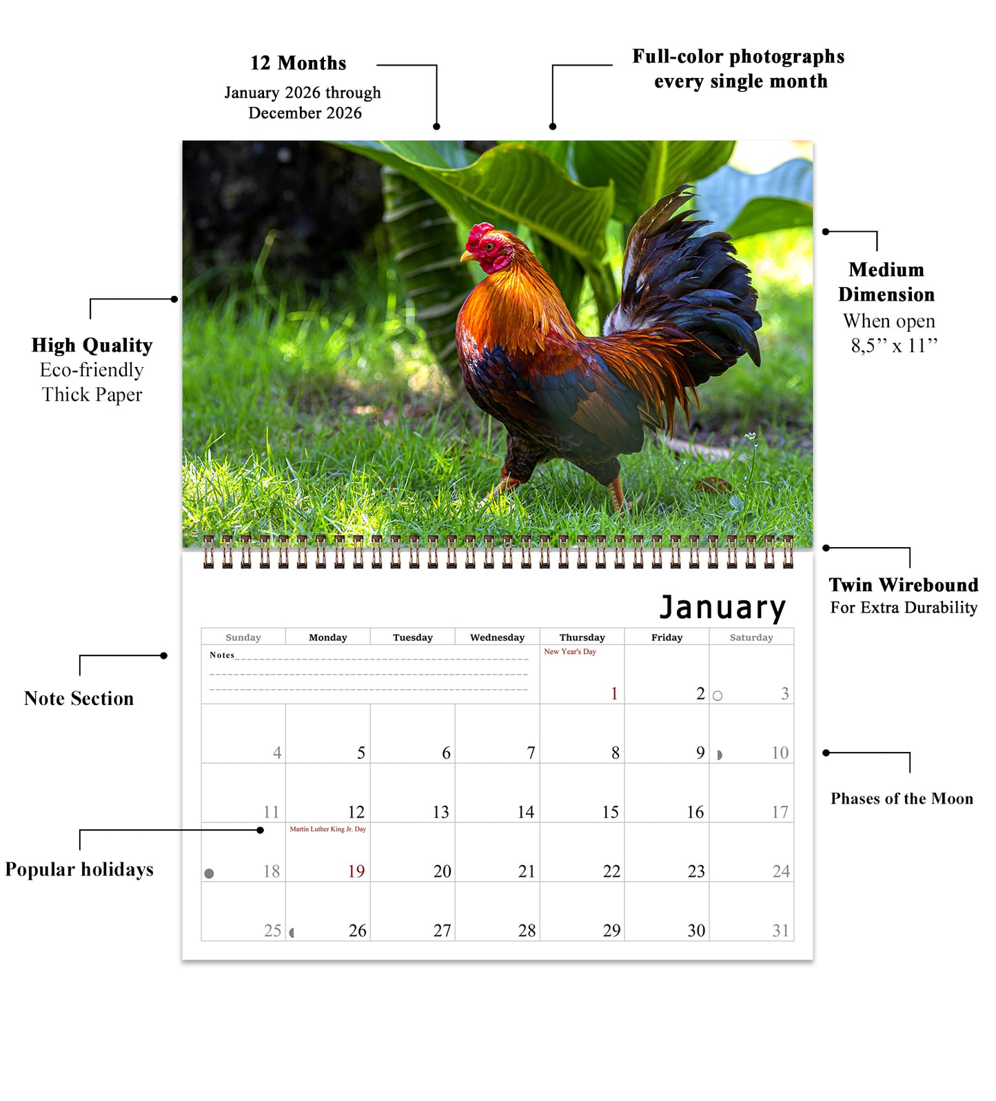 2026 Spiral-bound Wall Calendar (Roosters) - 12 Months Desktop/Wall Calendar/Planner