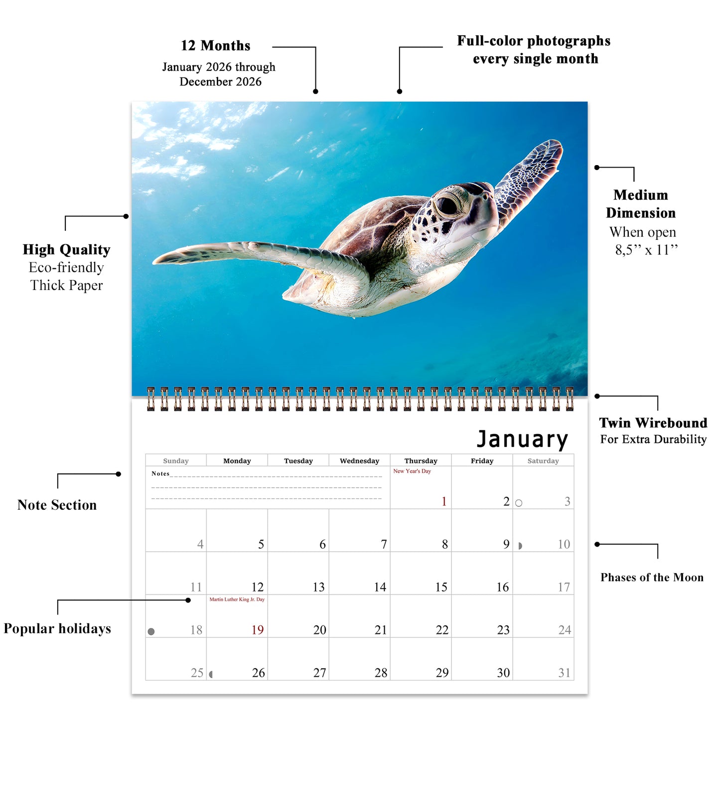 2026 Spiral-bound Wall Calendar (Sea Turtles) - 12 Months Desktop/Wall Calendar/Planner
