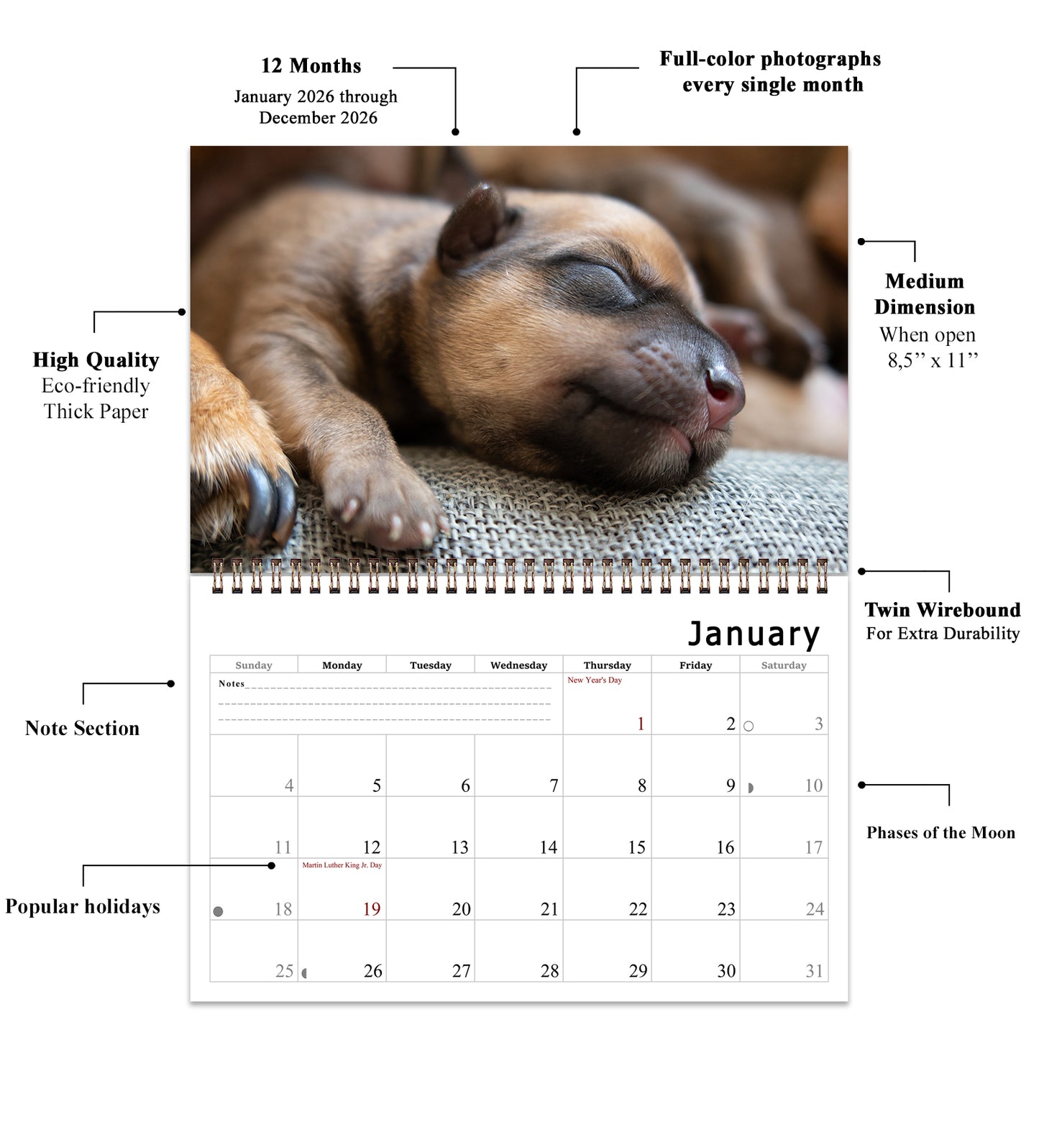 2026 Spiral-bound Wall Calendar (Dogs) - 12 Months Desktop/Wall Calendar/Planner