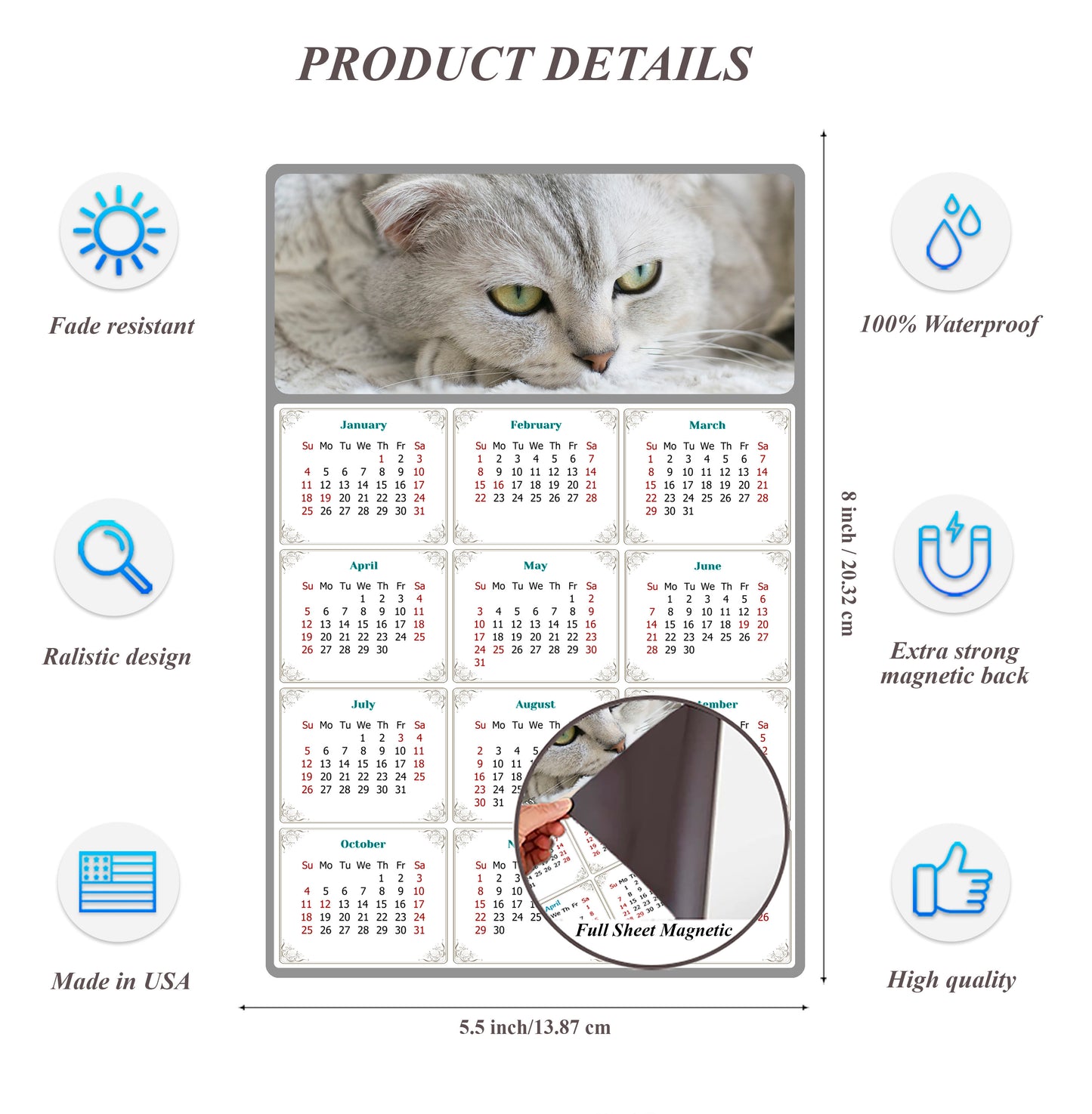 2026 Magnetic Calendar - Today is My Lucky Day (Fade, Tear, and Water Resistant)- Cat Themed 01