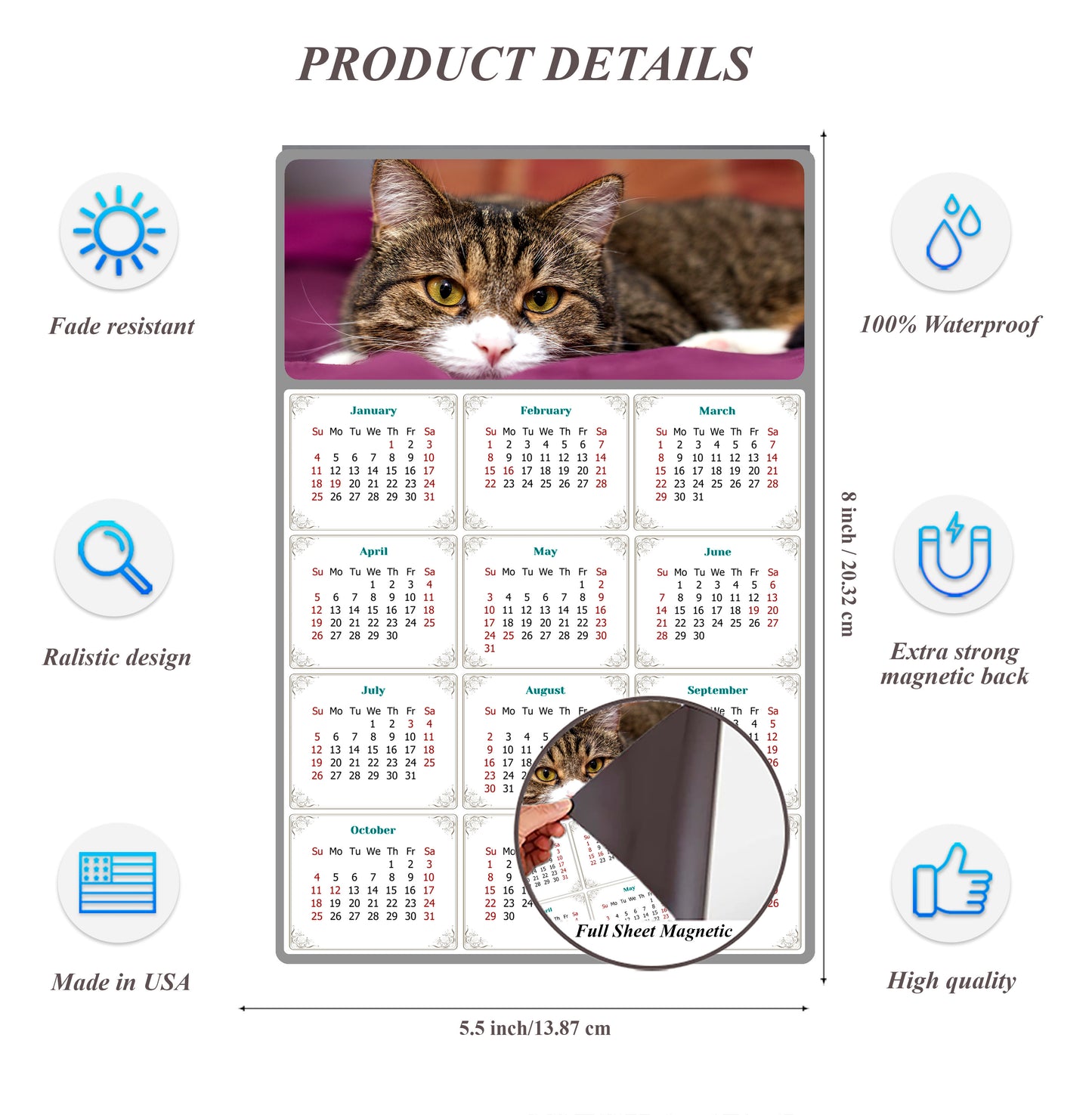 2026 Magnetic Calendar - Today is My Lucky Day (Fade, Tear, and Water Resistant)- Cat Themed 022
