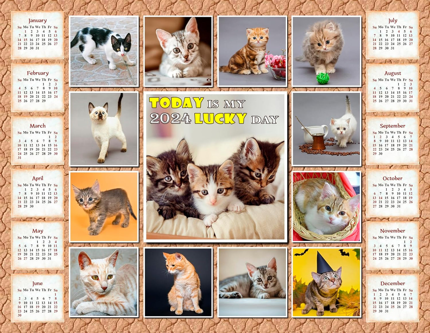 2024 Magnetic Calendar (Kittens) - Calendar Photo Collage Magnets - Today is my Lucky Day - (Fade, Tear, and Water Resistant)