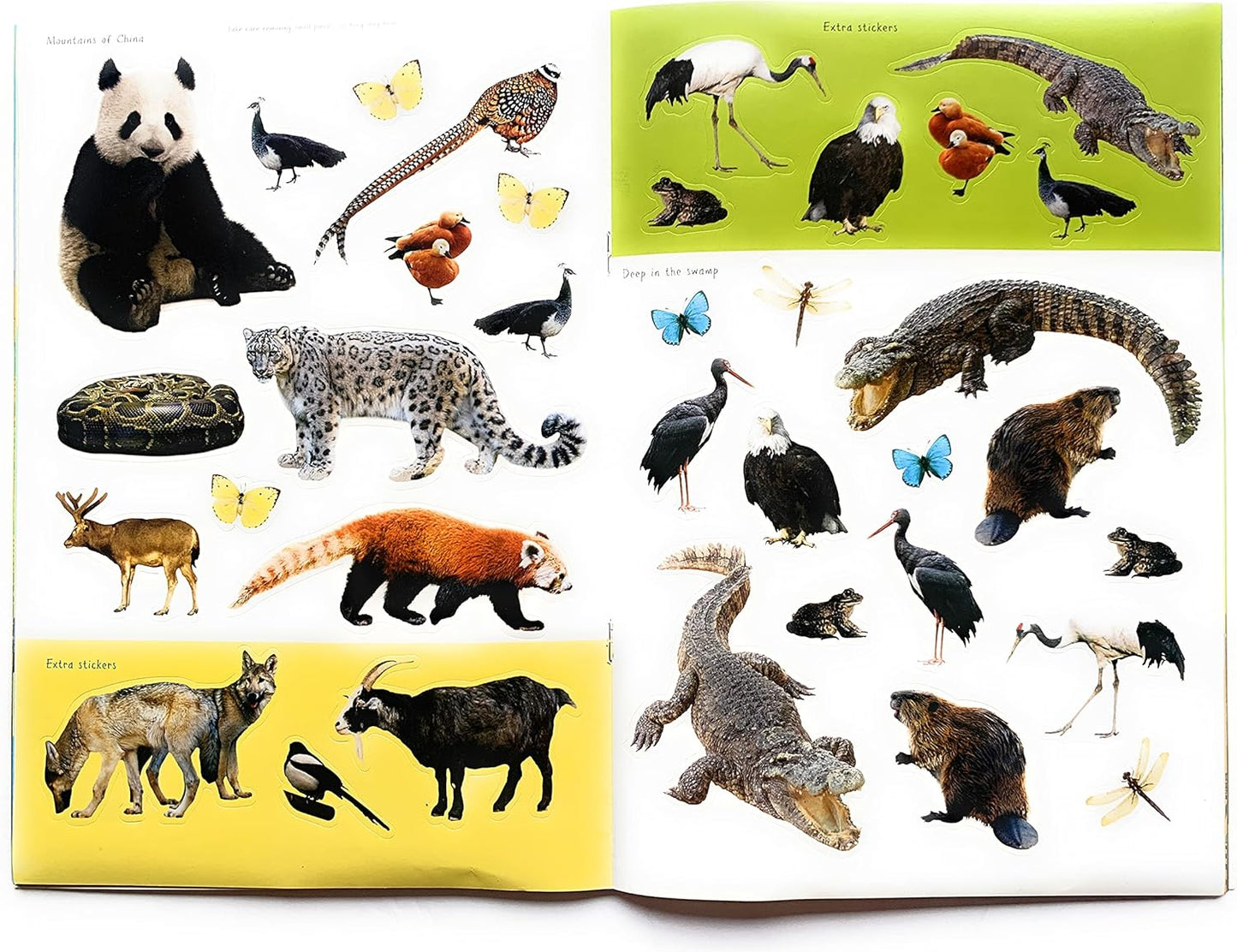 The Wild Sticker Activity Book (with Over 150 Stickers), Red, Blue, Green