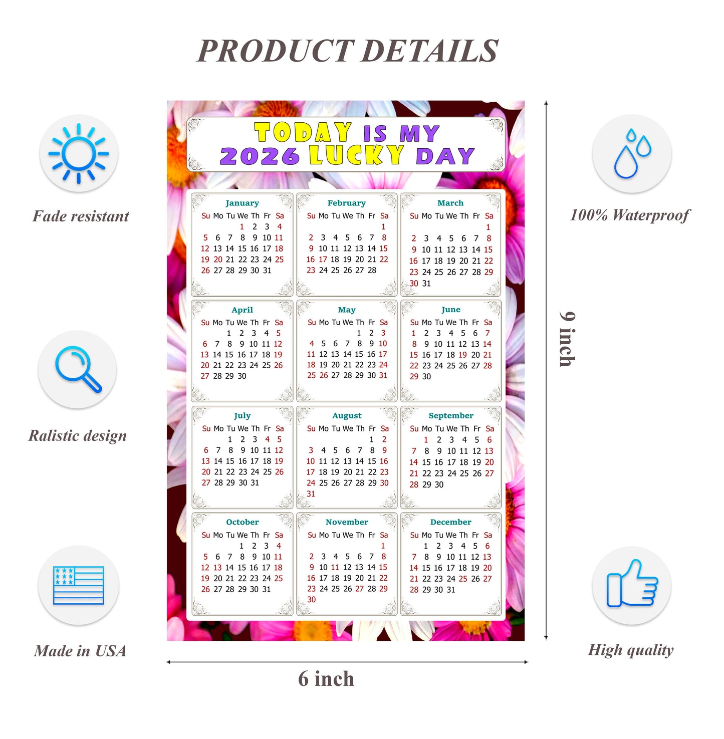 2026 Peel & Stick Calendar - Today is my Lucky Day Removable - 032