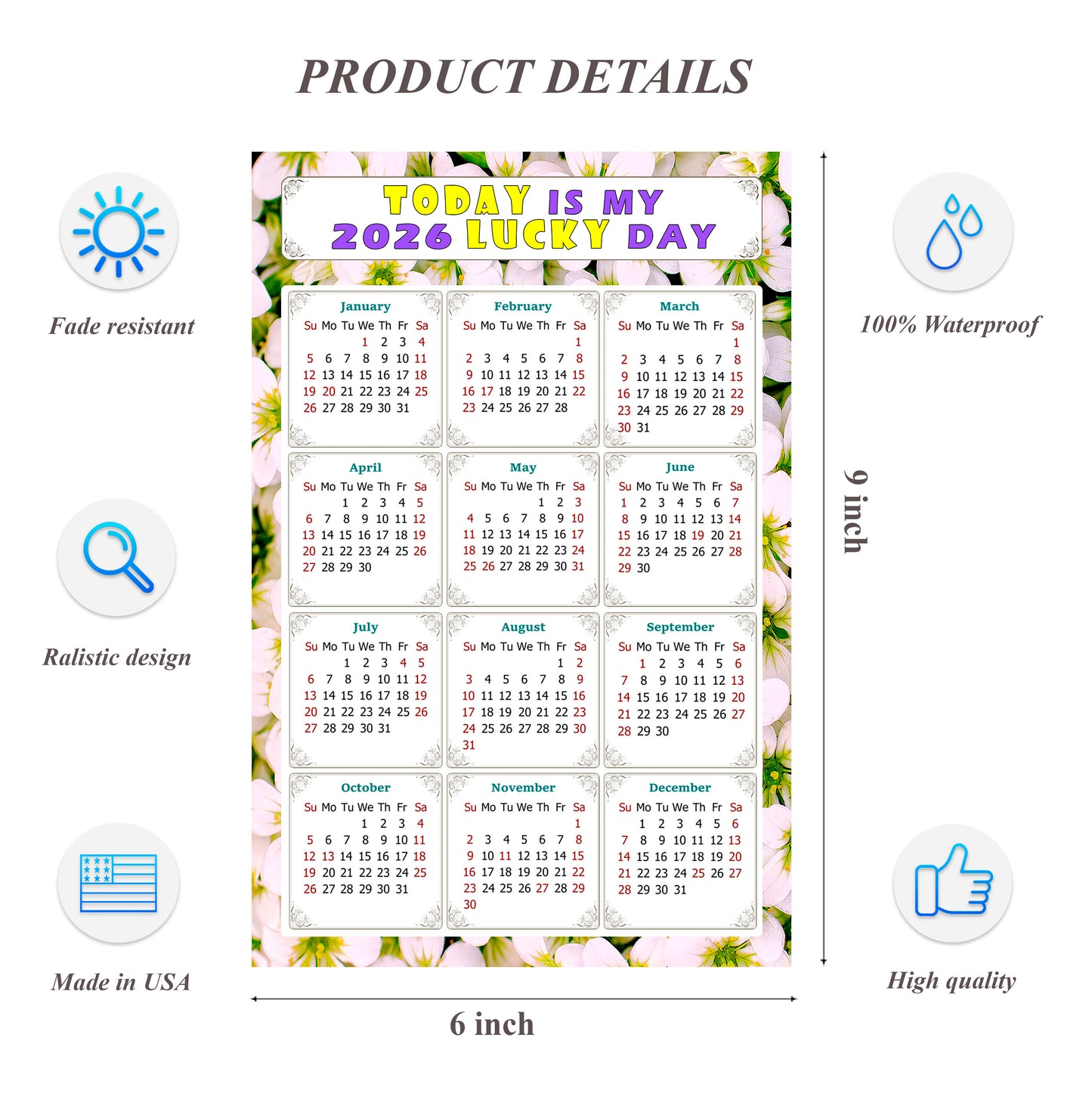 2026 Peel & Stick Calendar - Today is my Lucky Day Removable - 029
