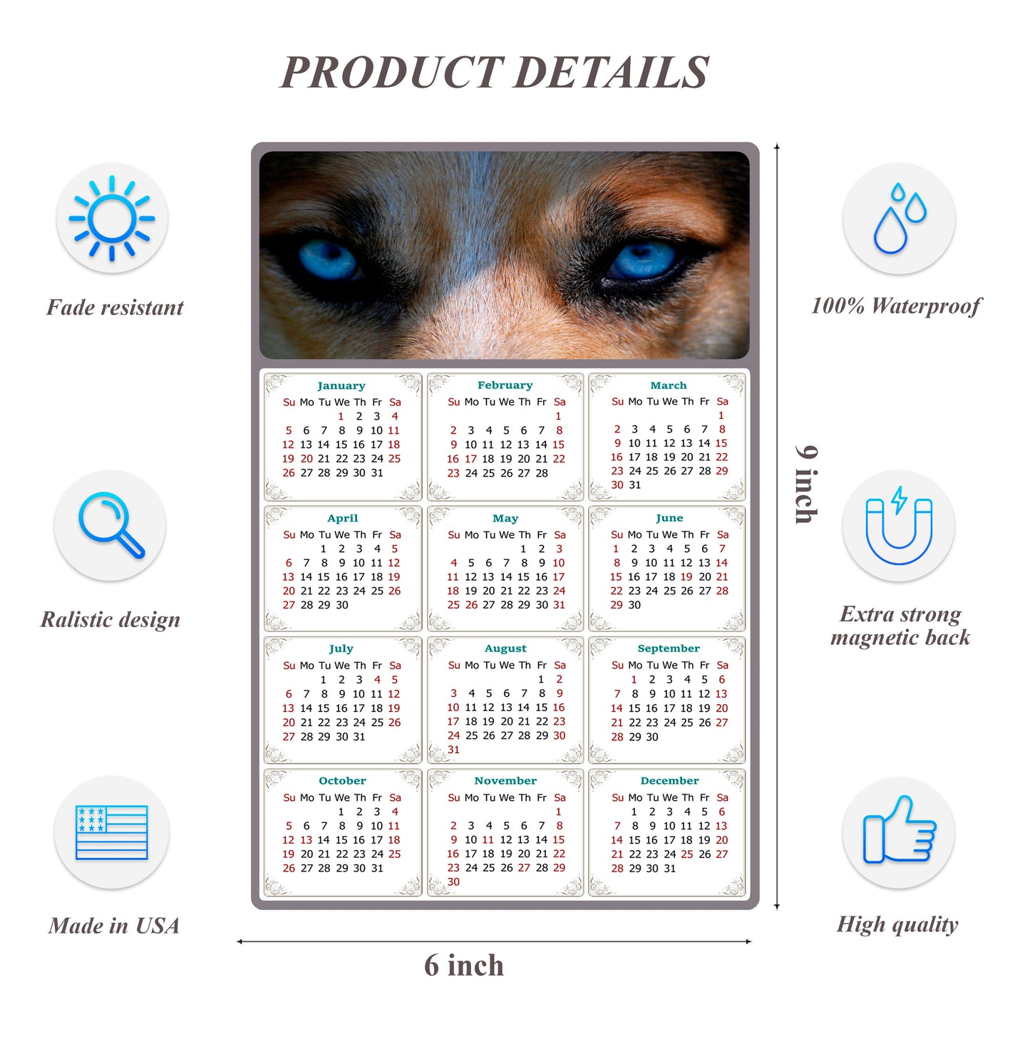 2026 Peel & Stick Calendar - Today is my Lucky Day Removable - Dogs 03 (9"x 6")