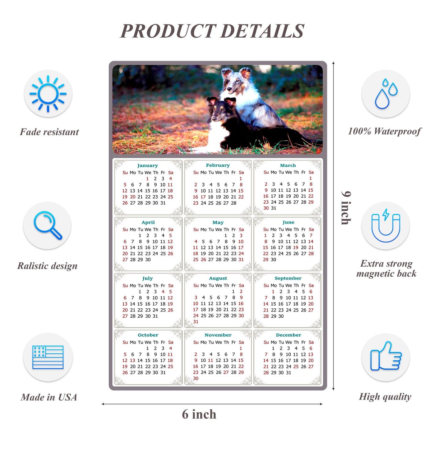 2026 Peel & Stick Calendar - Today is my Lucky Day Removable - Dogs 09 (9"x 6")