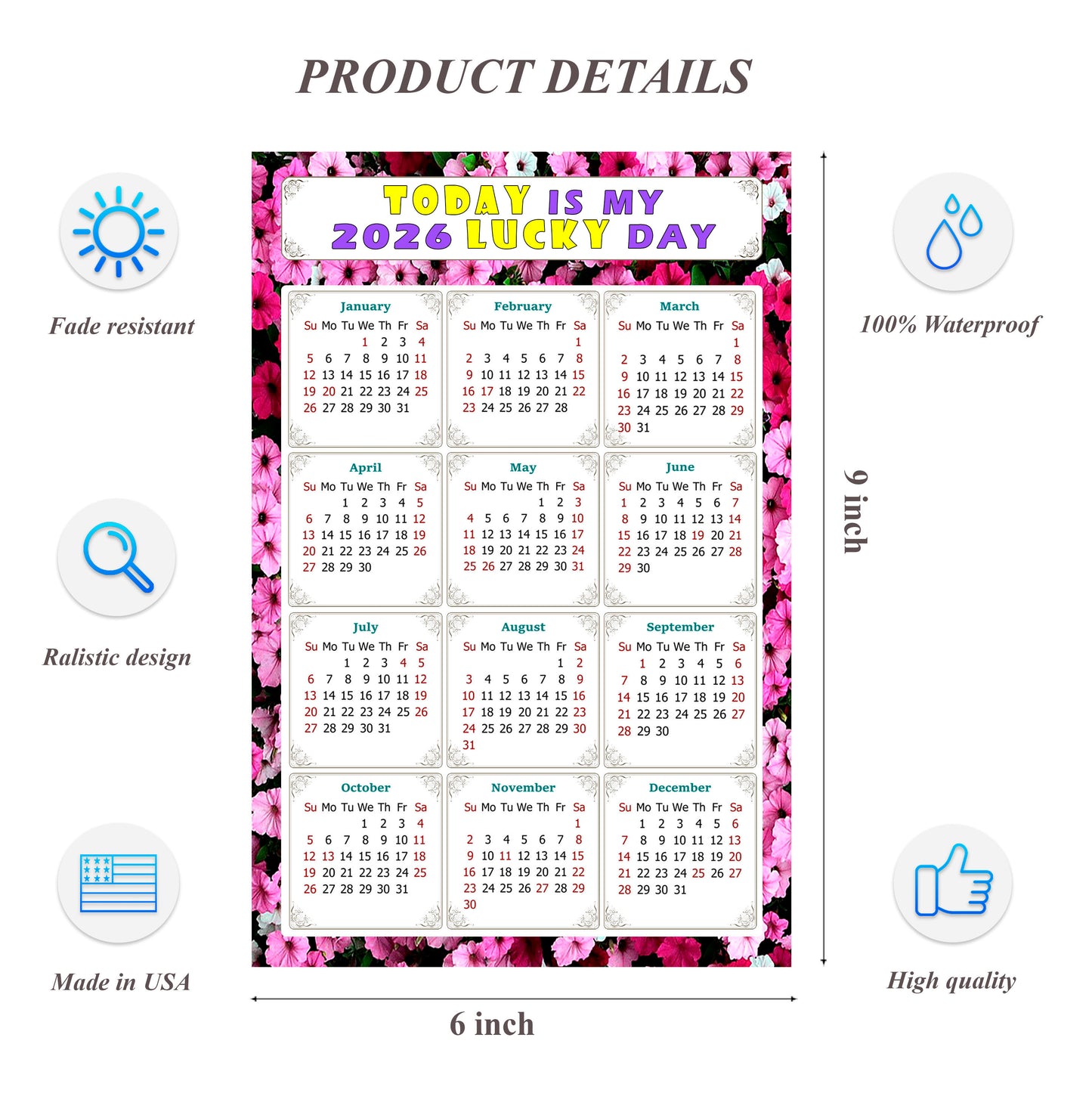 2026 Peel & Stick Calendar - Today is my Lucky Day Removable - 027