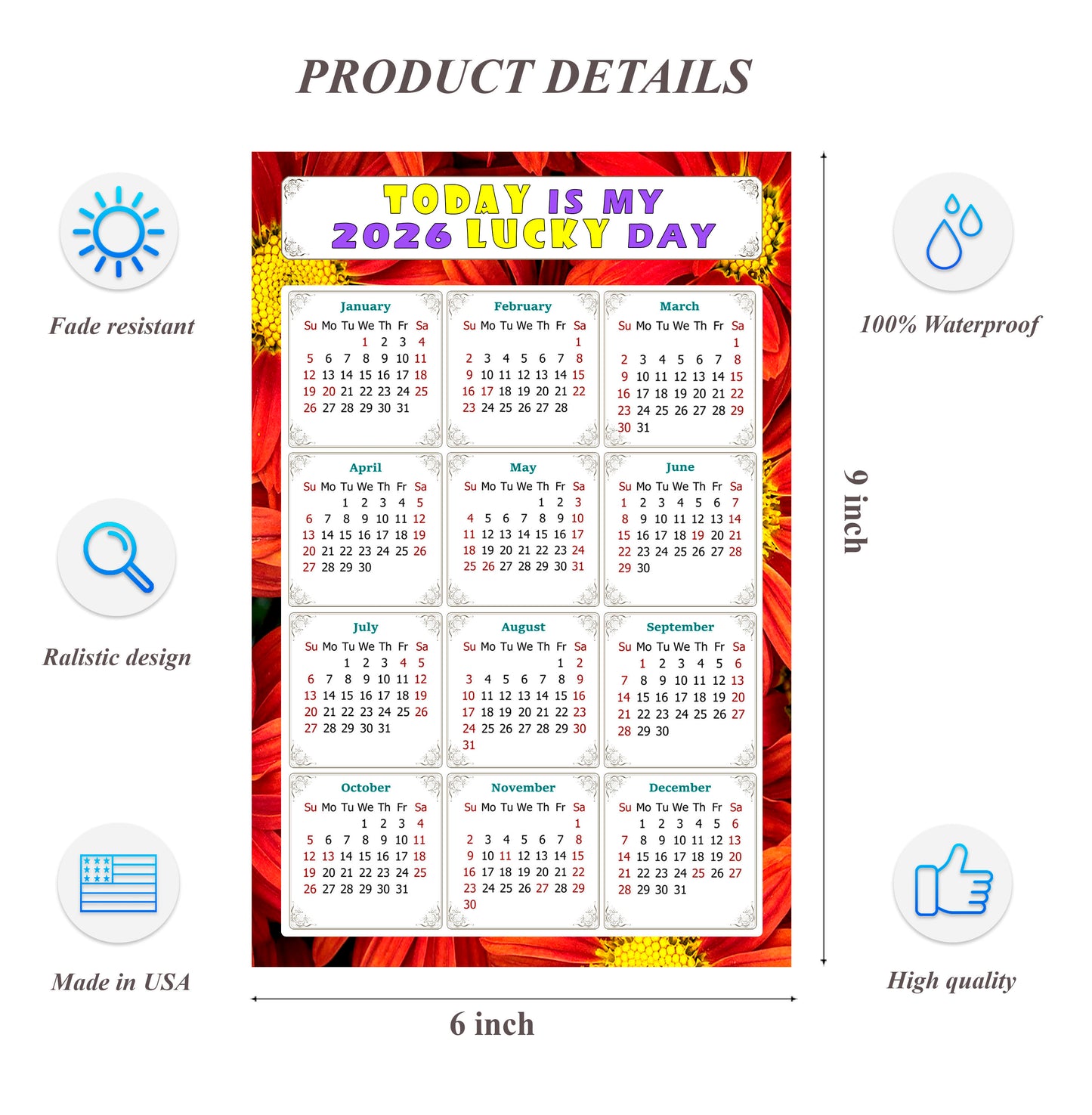 2026 Peel & Stick Calendar - Today is my Lucky Day Removable - 031