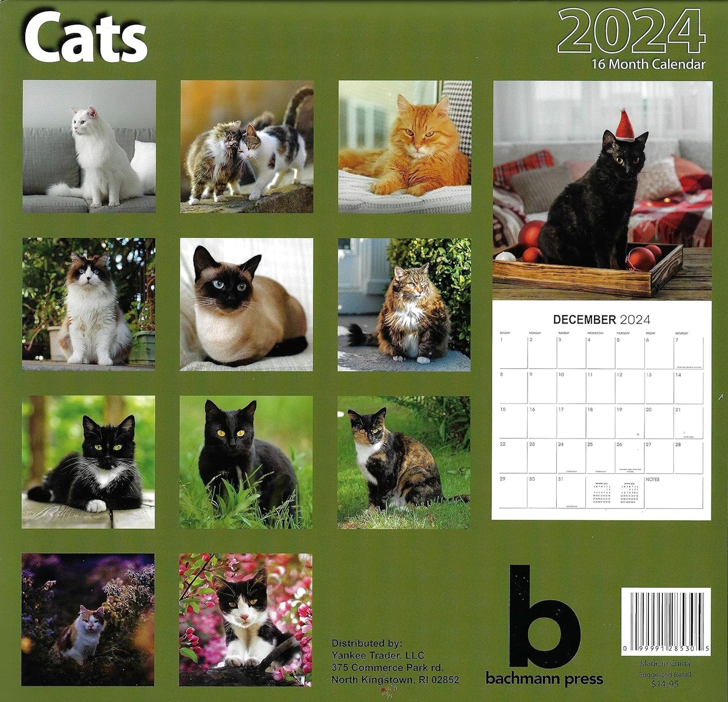 2024 Cats Full Size Wall Calendar for Planning, Scheduling, and Organizing