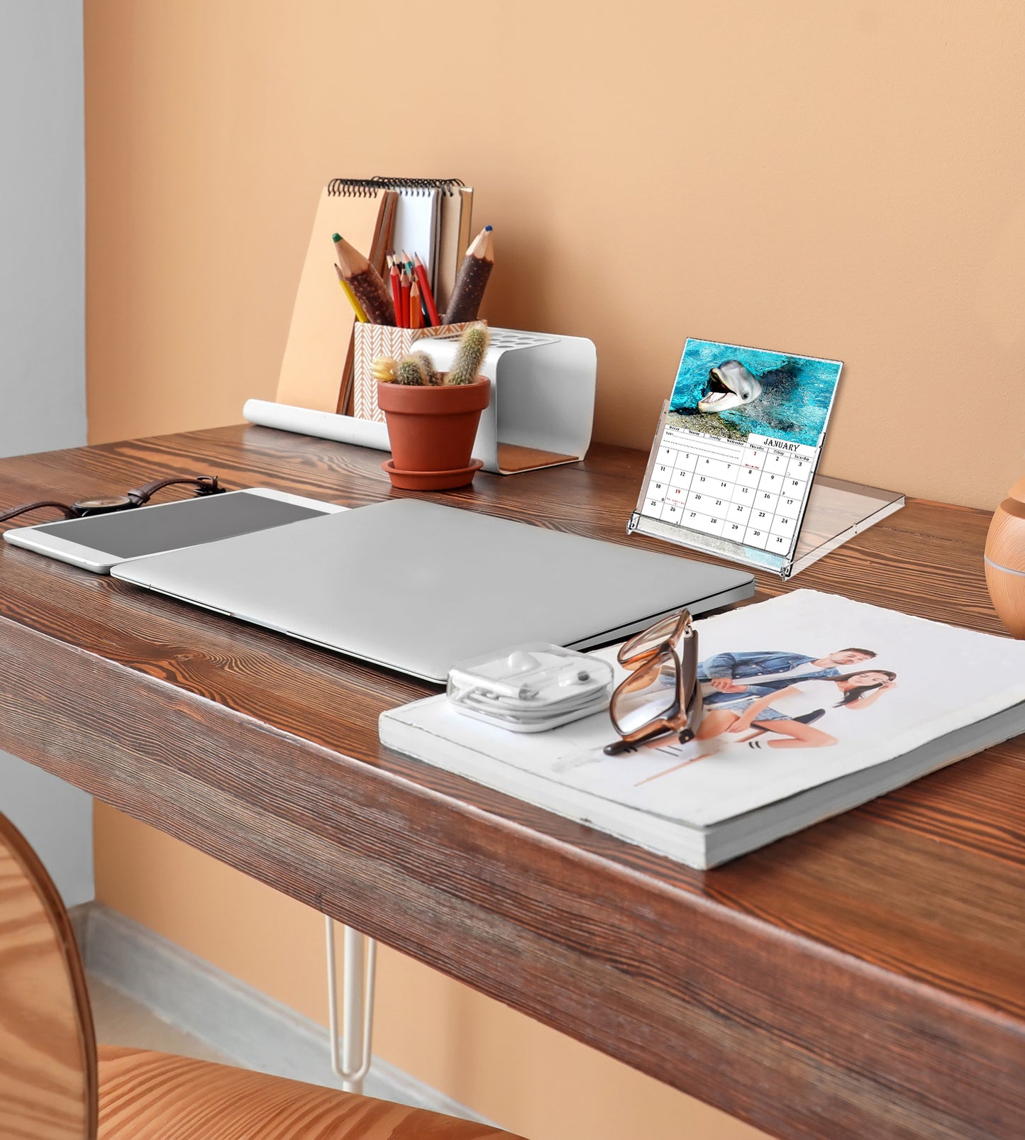 2027 CD-Style Desk Calendar 12 Months Calendar (Dolphins)
