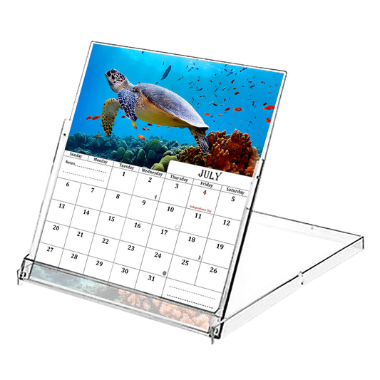 2025-2026 CD-Style Desk Calendar 18 Months Calendar (Turtles)