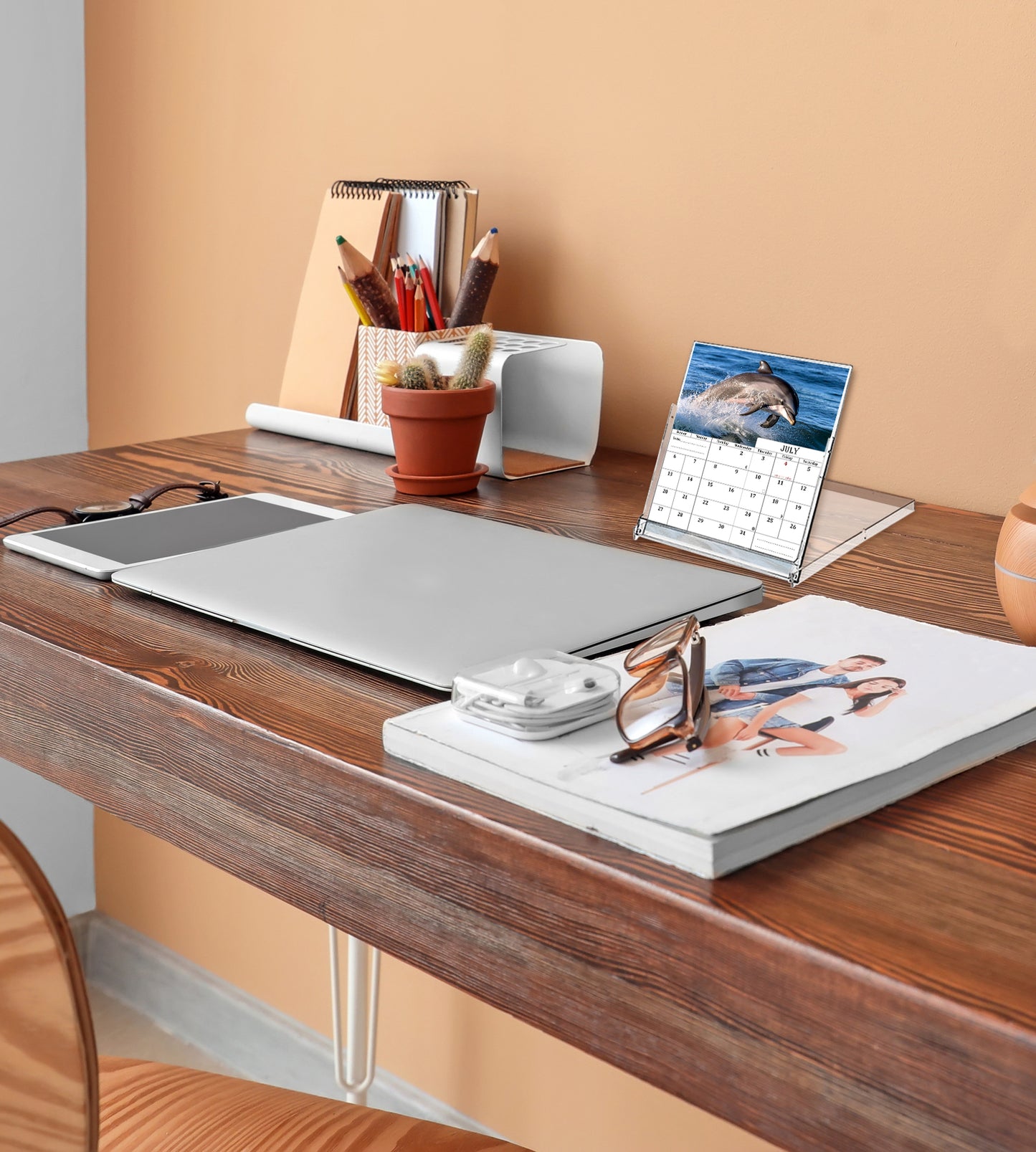 2025-2026 CD-Style Desk Calendar 18 Months Calendar (Dolphins)