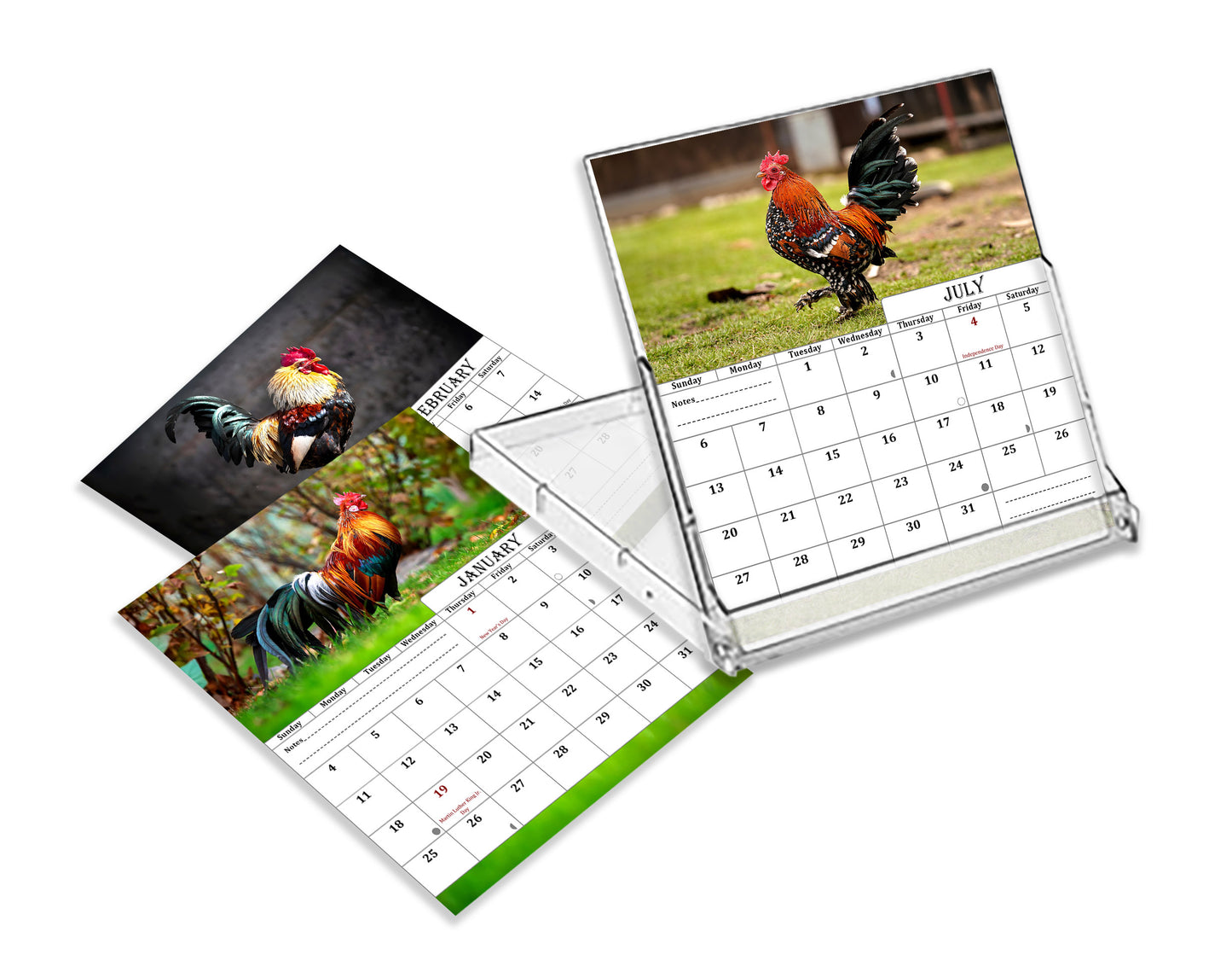 2025-2026 CD-Style Desk Calendar 18 Months Calendar (Roosters)
