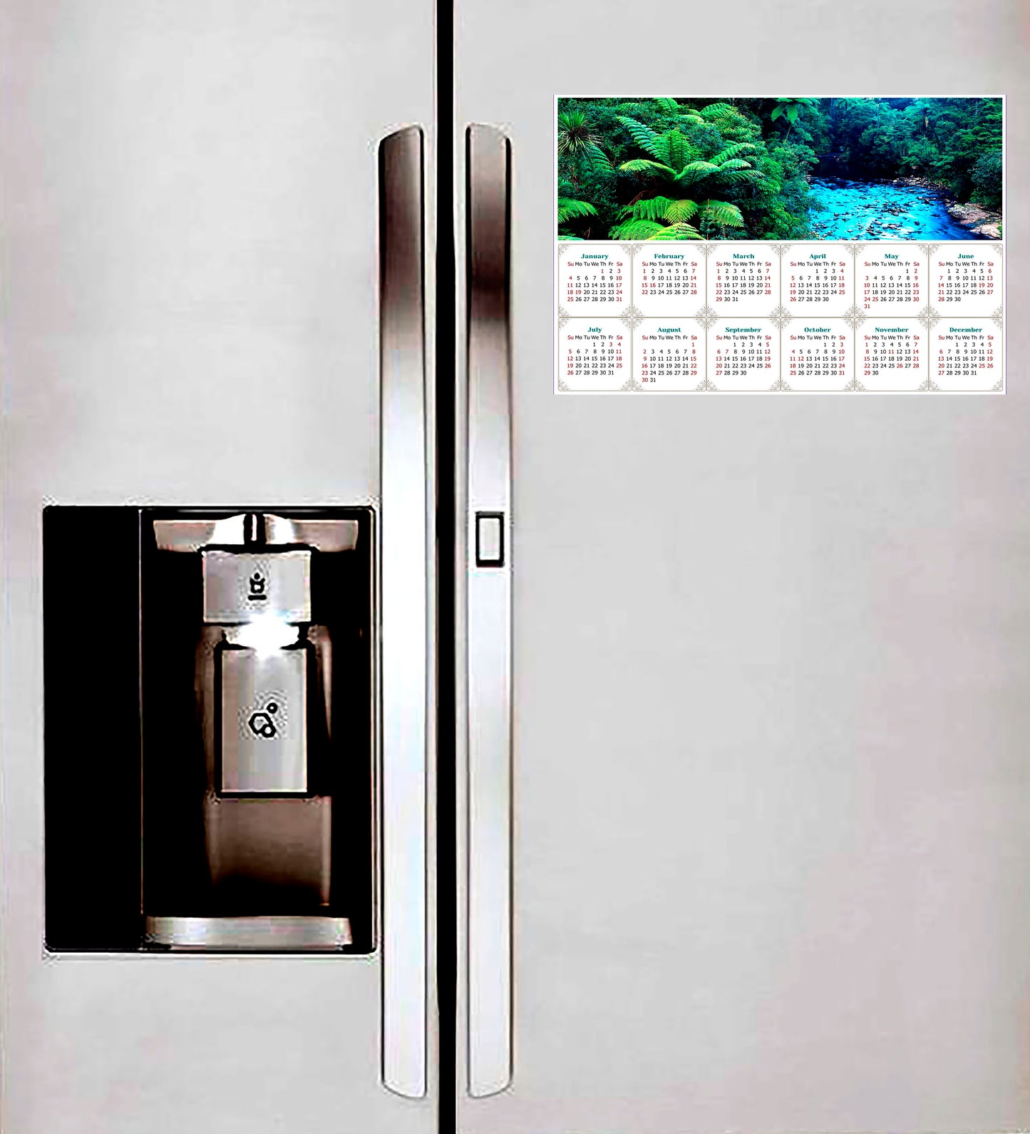2026 Magnetic Calendar - Calendar Magnets - Today is My Lucky Day (Waipoua Kauri Reserve)