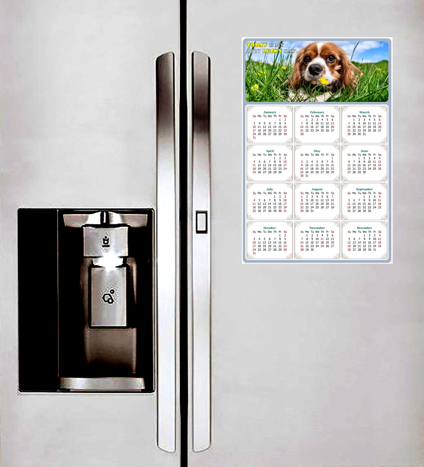2027 Magnetic Calendar - Today is My Lucky Day (Fade, Tear, and Water Resistant)- Dogs Themed 06