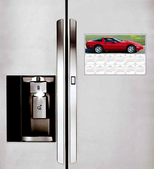 2027 Peel & Stick Calendar - Today is my Lucky Day - Removable, Repositionable - 046 (9"x 6")