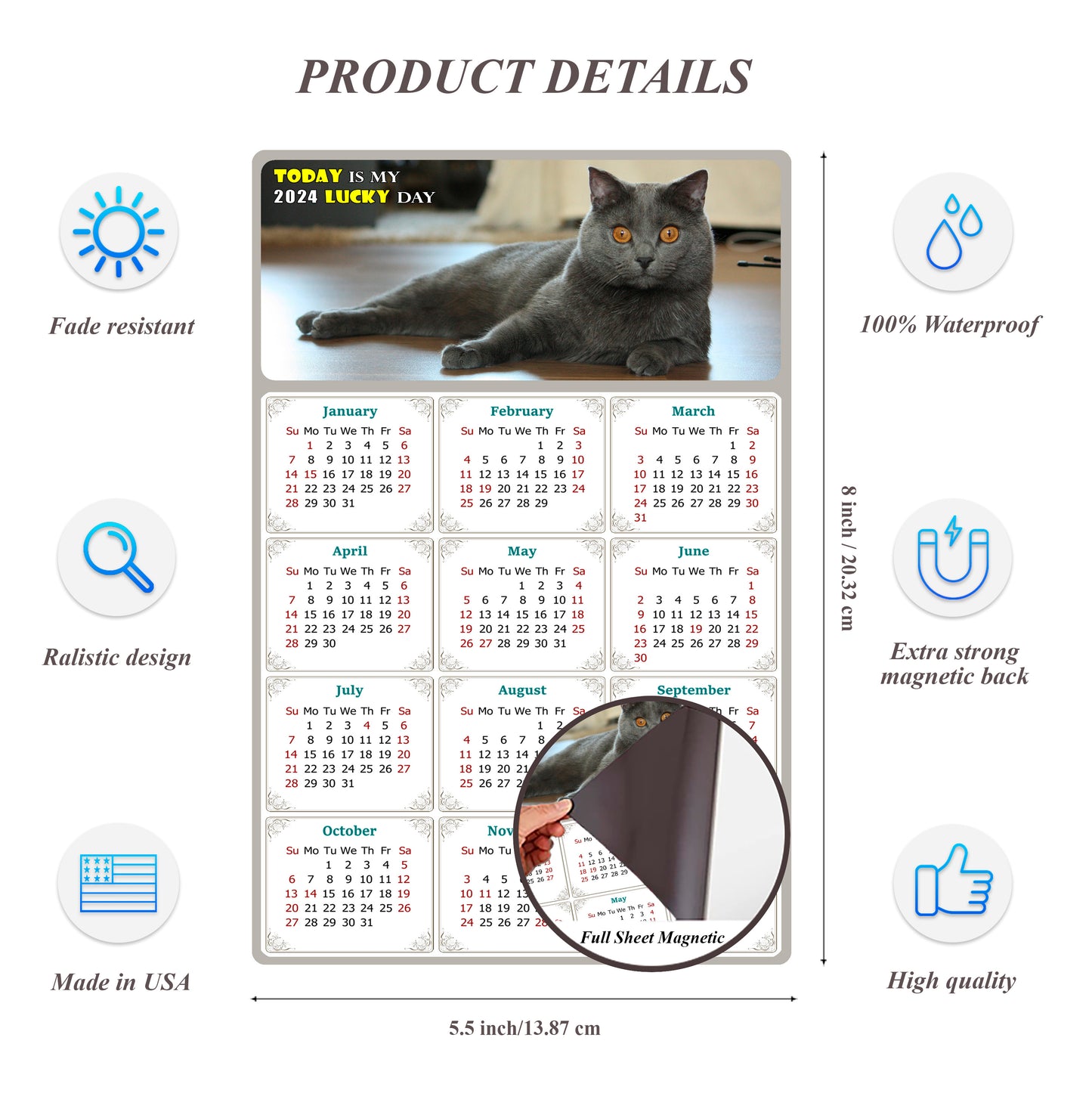 2024 Magnetic Calendar - Today is My Lucky Day (Fade, Tear, and Water Resistant)- Cat Themed 014