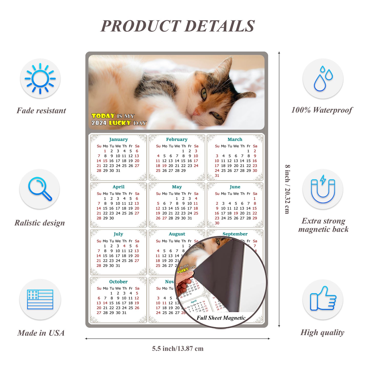 2024 Magnetic Calendar - Today is My Lucky Day (Fade, Tear, and Water Resistant)- Cat Themed 04