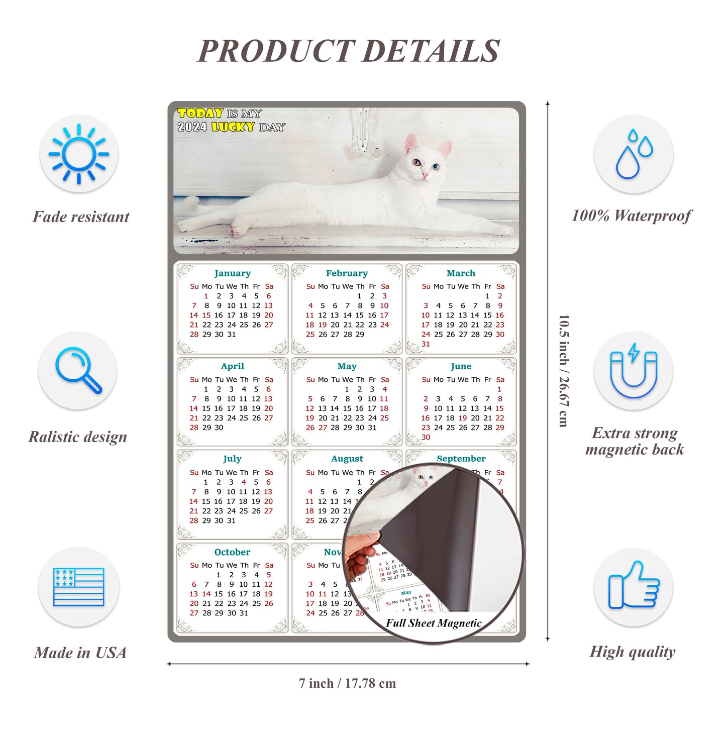 2024 Magnetic Calendar - Today is My Lucky Day (Fade, Tear, and Water Resistant)- Cat Themed 06