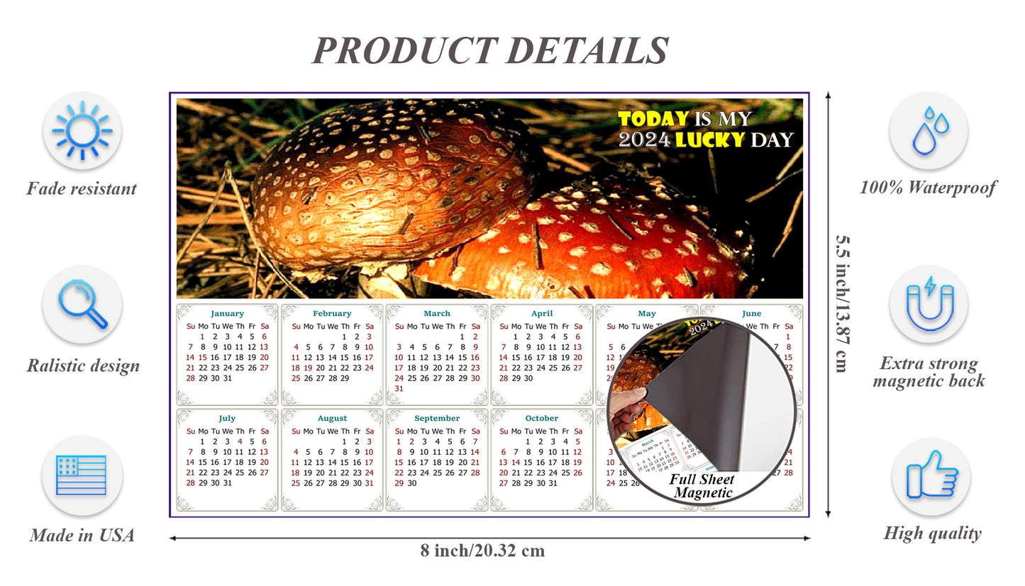 2024 Magnetic Calendar - Calendar Magnets - Today is my Lucky Day - Edition #38