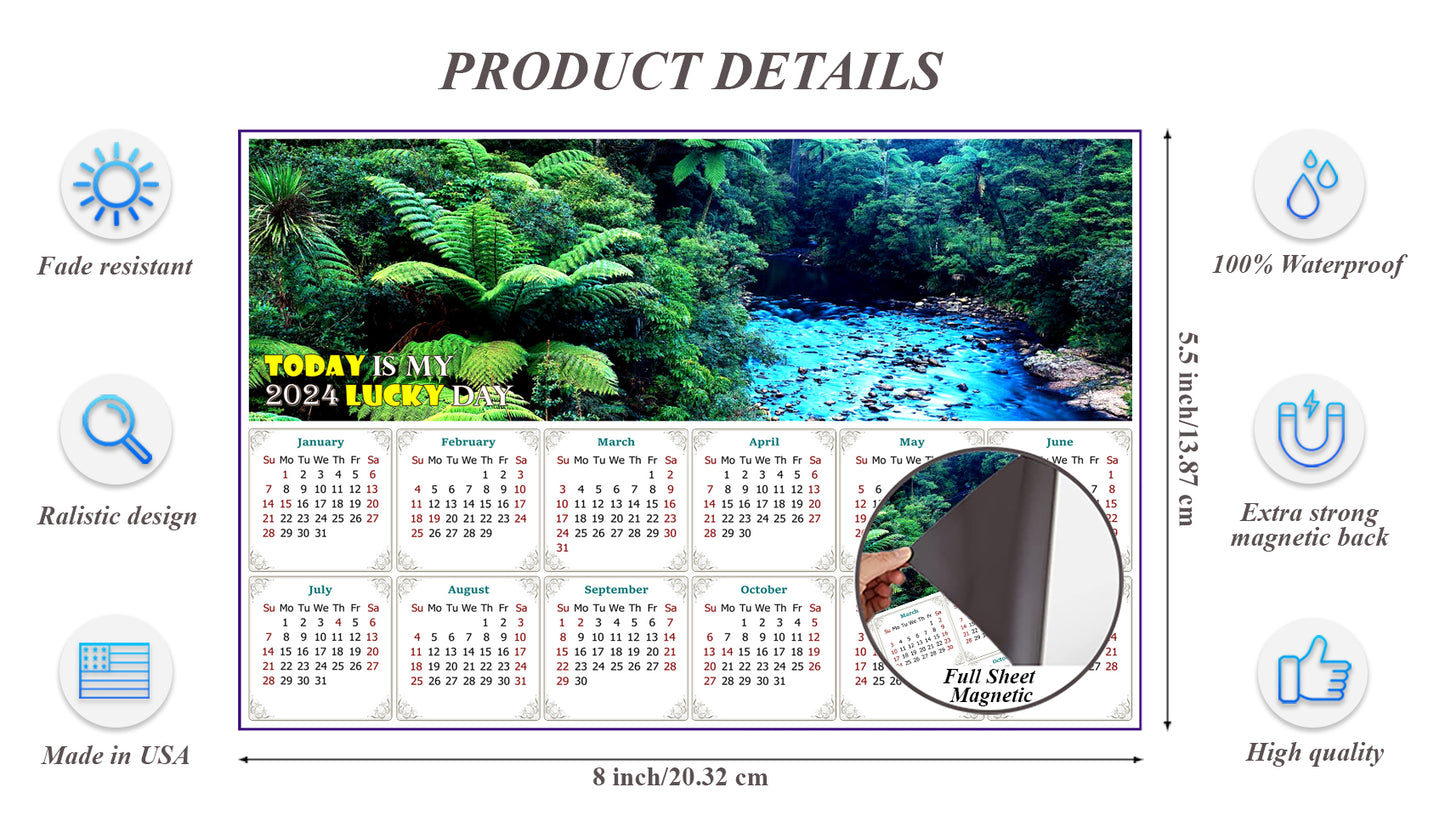 2024 Magnetic Calendar - Calendar Magnets - Today is My Lucky Day (Waipoua Kauri Reserve)